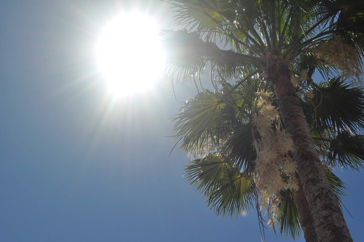 Para evitar golpes de calor, la Secretaría de Salud recomienda: evitar la exposición al sol -principalmente de 10:00 a 17:00 horas-, hidratarse y utilizar bloqueador solar, ropa fresca, sombreros y gorras. (ARCHIVO) 

