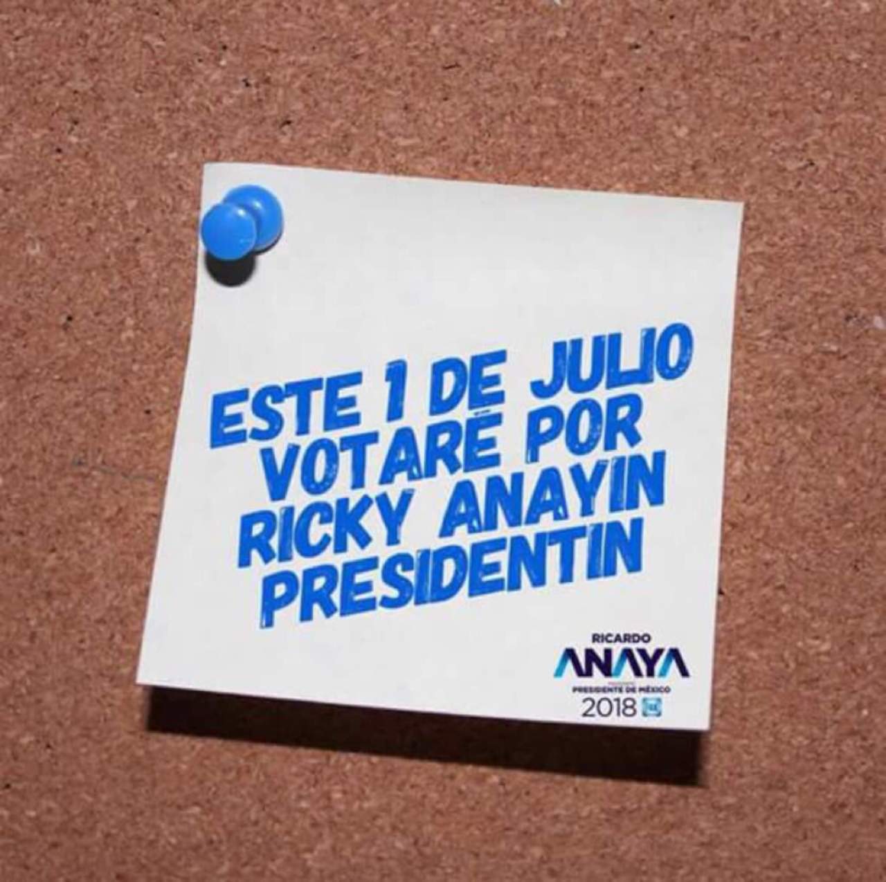 Lanzan panistas campaña por 'Ricky Anayín Presidentín'. (ESPECIAL) 