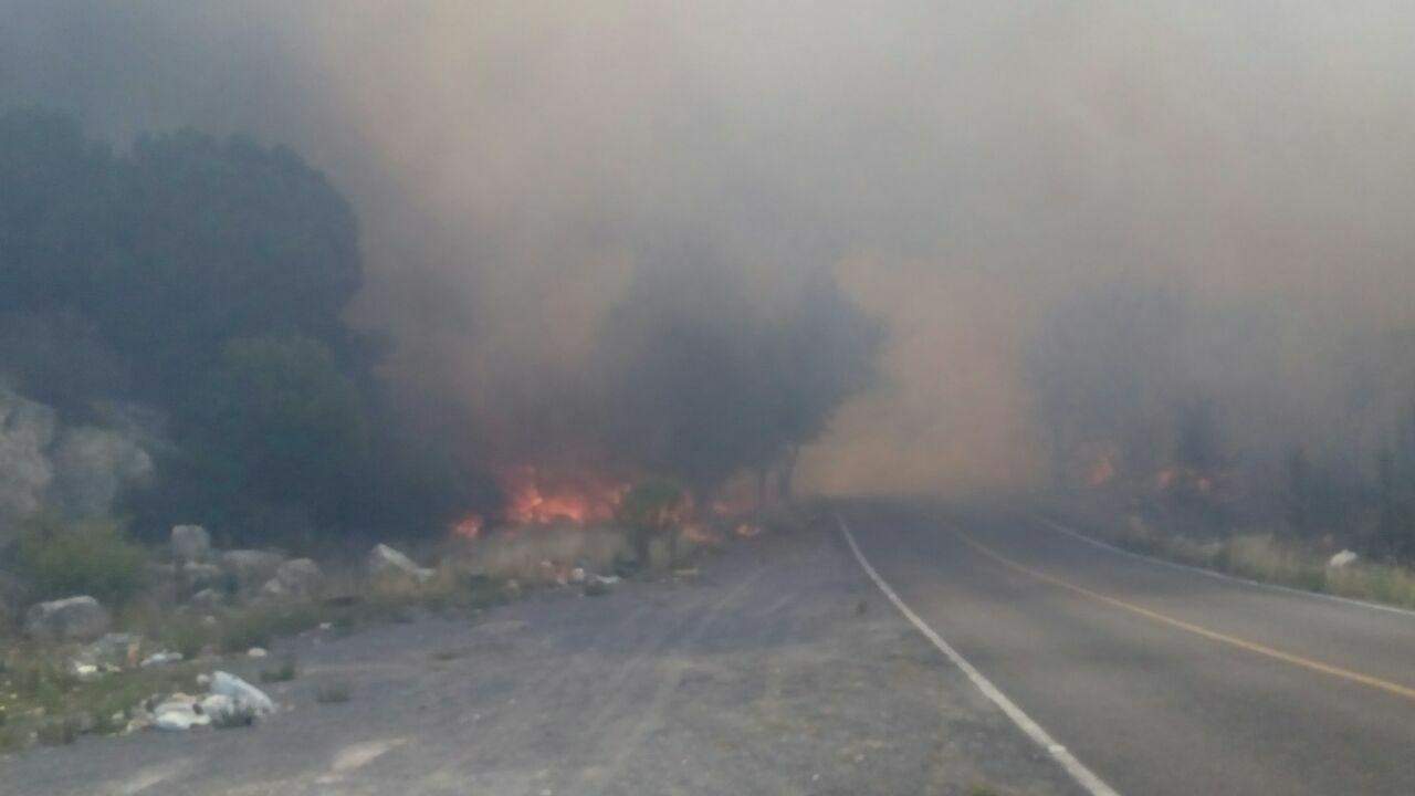 Con brigadas de la Secretaría de Medio Ambiente, Protección Civil, Conafor, Conanp y de voluntarios se atiende el incendio forestal. (CORTESÍA)