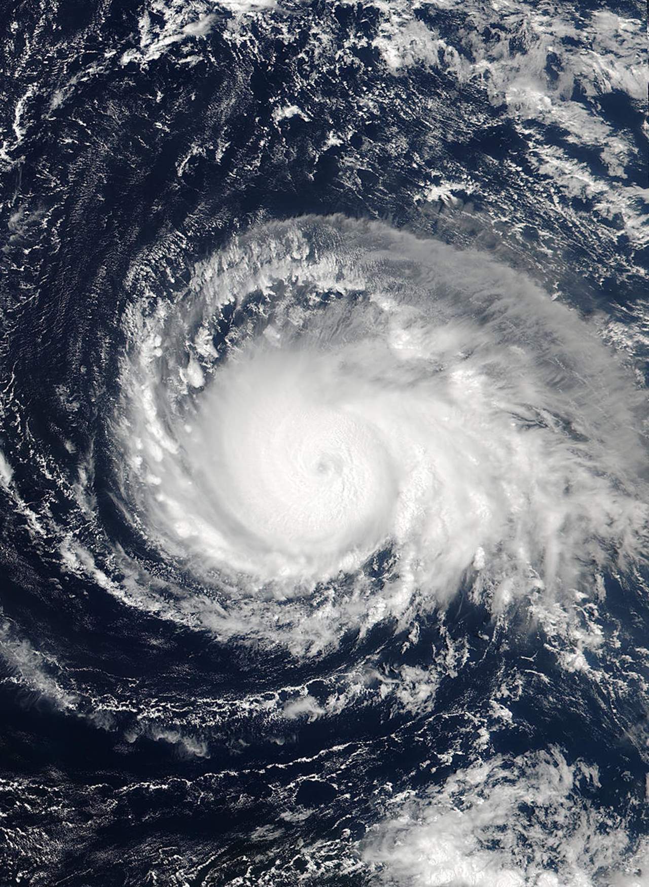 Expertos dicen que los huracanes han reducido su velocidad alrededor de 10 por ciento en los últimos 70 años. (ARCHIVO) 