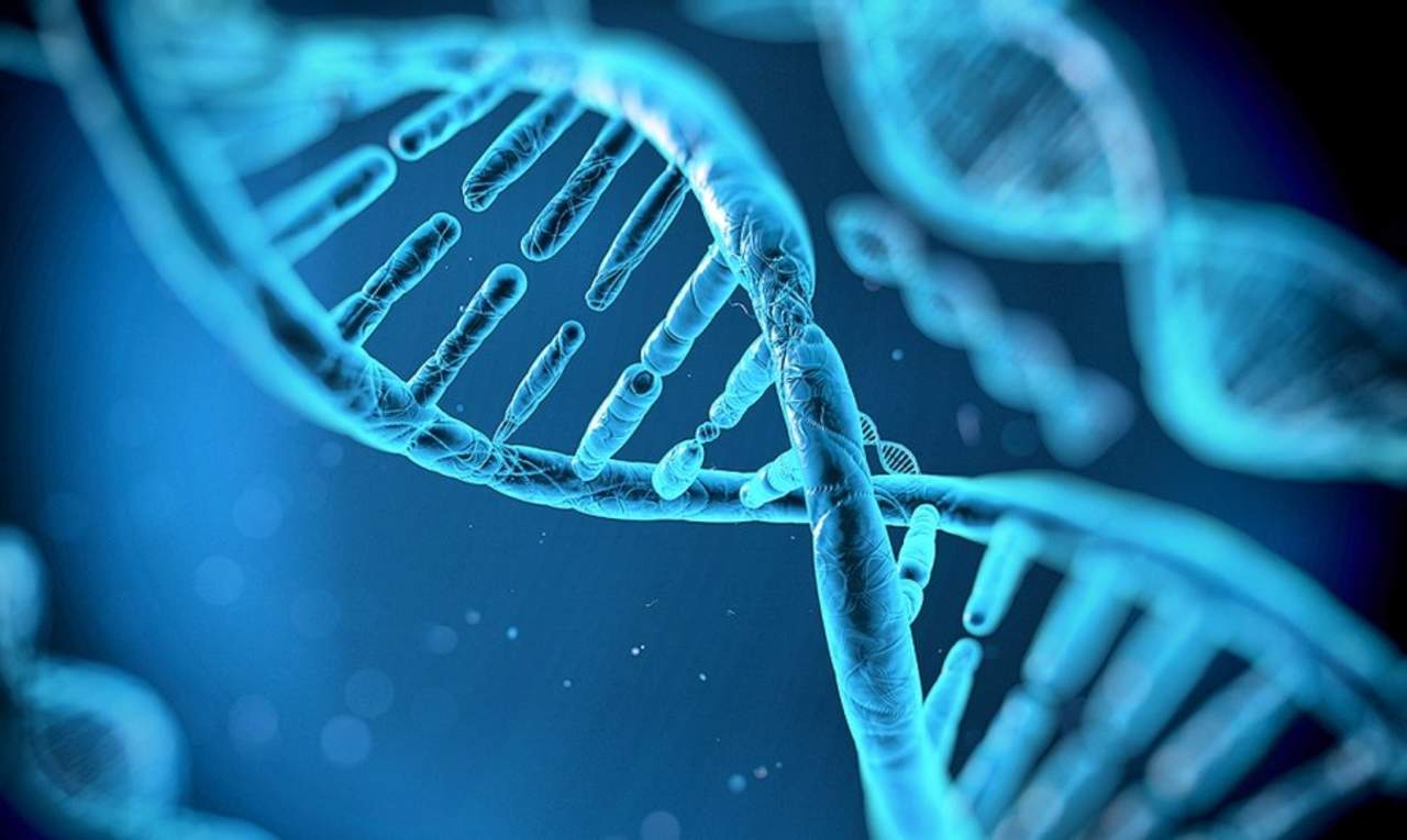 Por medio de una nueva técnica buscaran sintetizar el ADN. (ARCHIVO)  