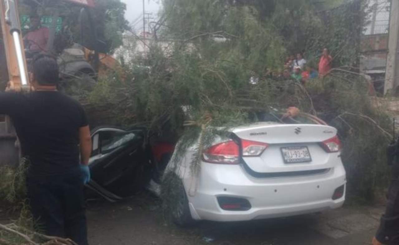 La cámara 109 del Centro de Mando y Comunicación (C4) de Ecatepec, captó el momento en el que el árbol se desprendió de sus raíces y cayó encima de dos vehículos, frente a una estación del Mexibús. (ESPECIAL)