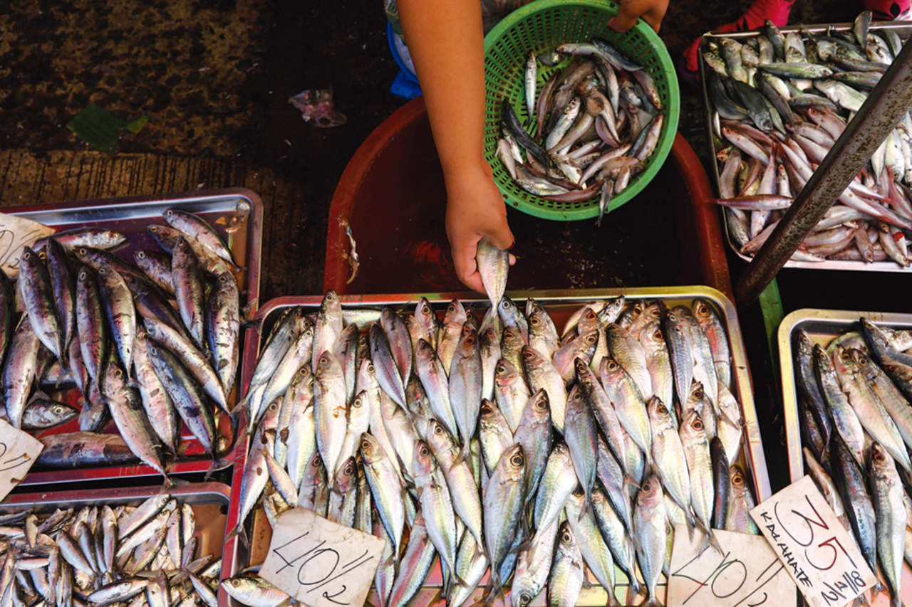 Pescados en un mercado en Ciudad Quezón, al este de Manila, Filipinas. Foto: EFE
