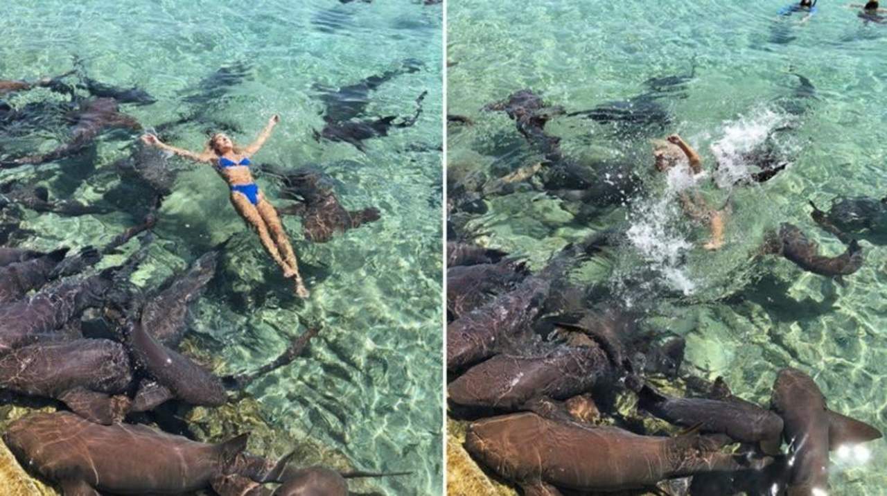 Instagramer es atacada por tiburón durante sesión fotográfica