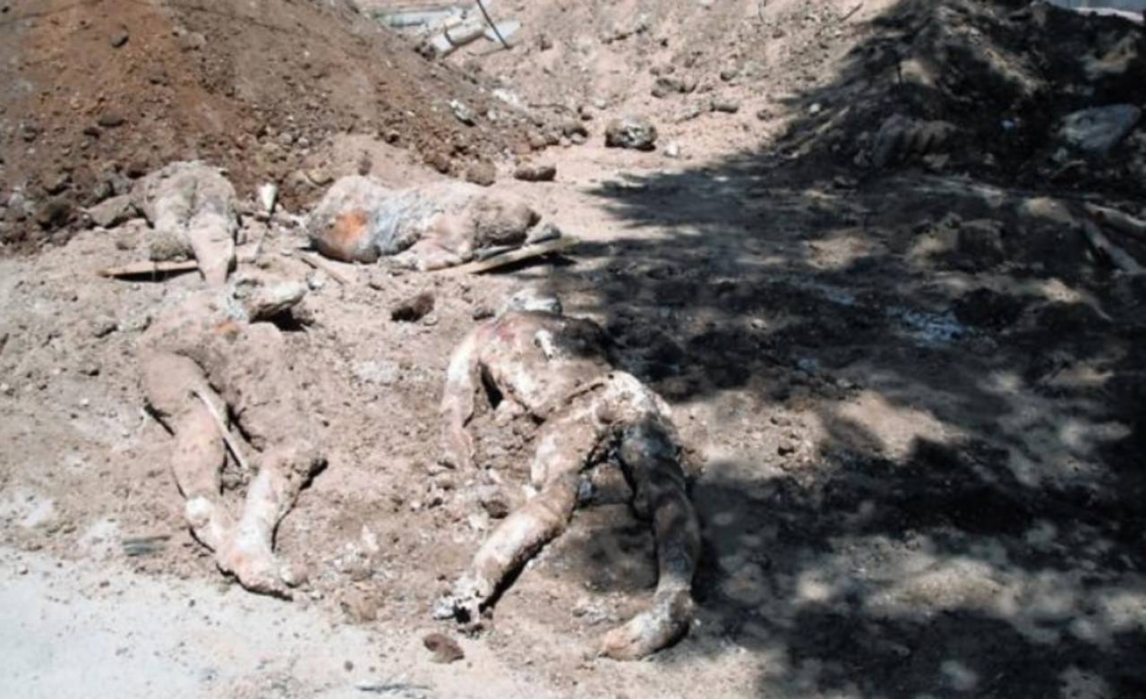 Cuerpos. La mayoría de los cadáveres sin identificar fueron hallados en fosas comunes. (EL SIGLO DE TORREÓN) 