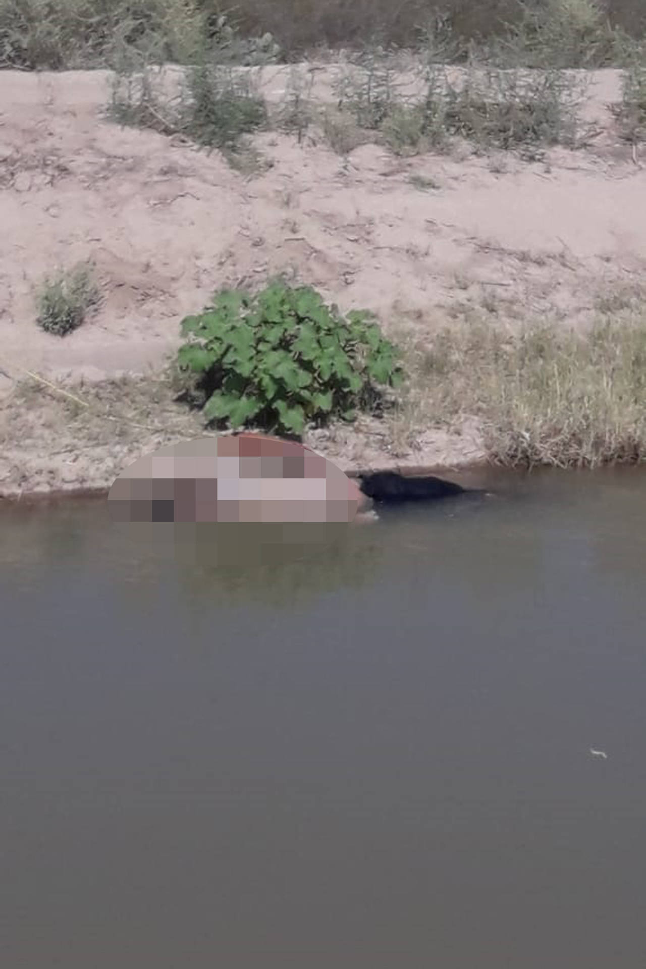 Muerte. Localizan otro cadáver en las aguas del canal Santa Rosa-Tlahualilo, de Gómez Palacio. (EL SIGLO DE TORREÓN) 