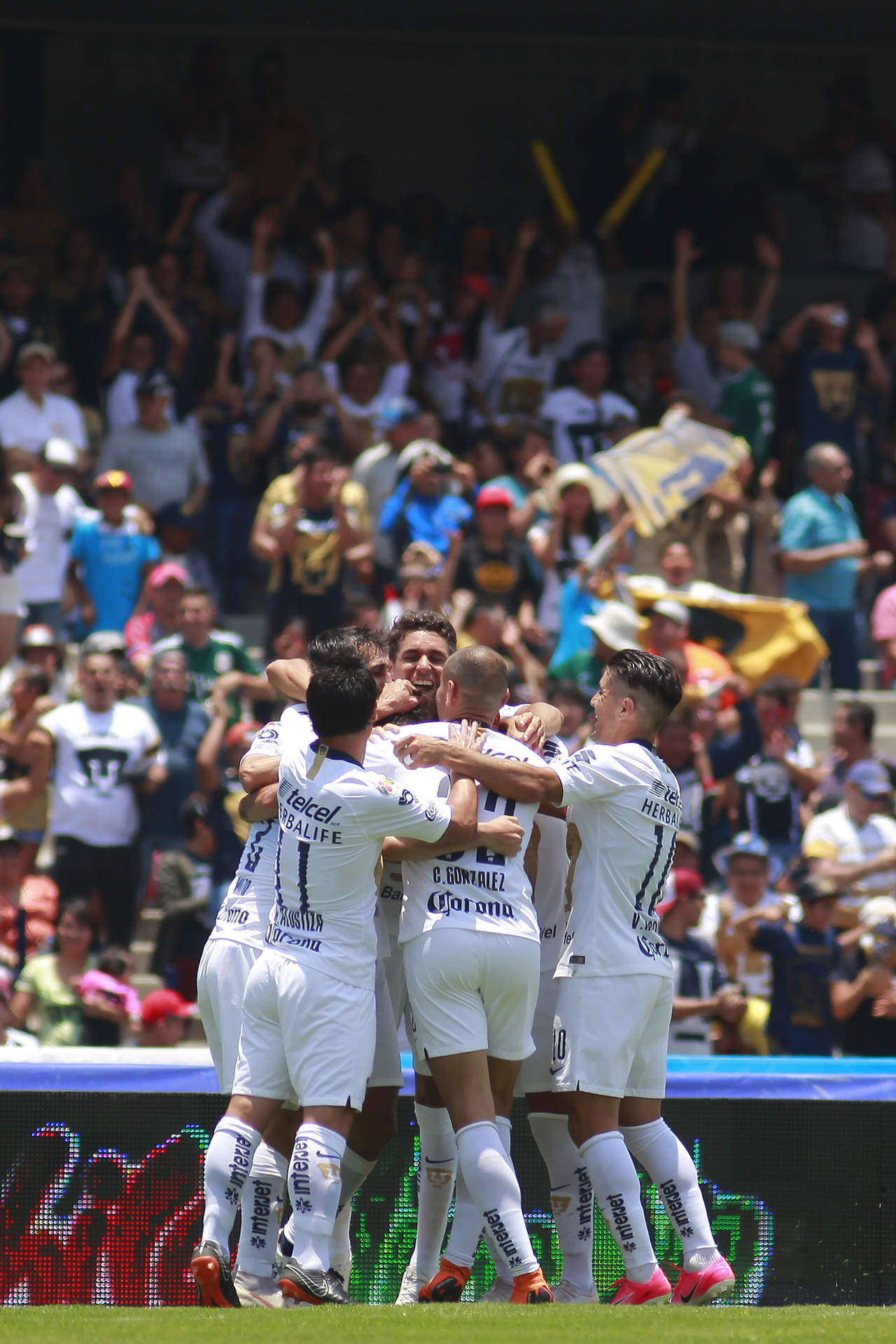Jugadores del Pumas en festejo después de anotar el primer gol de su equipo durante el juego de la jornada 2. (Jam Media)
