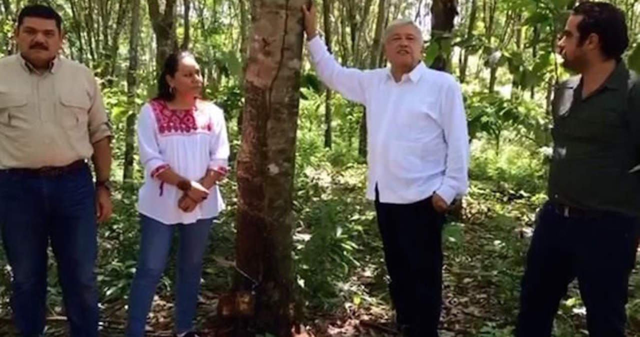 López Obrador viajó a la selva Lacandona . (ESPECIAL) 