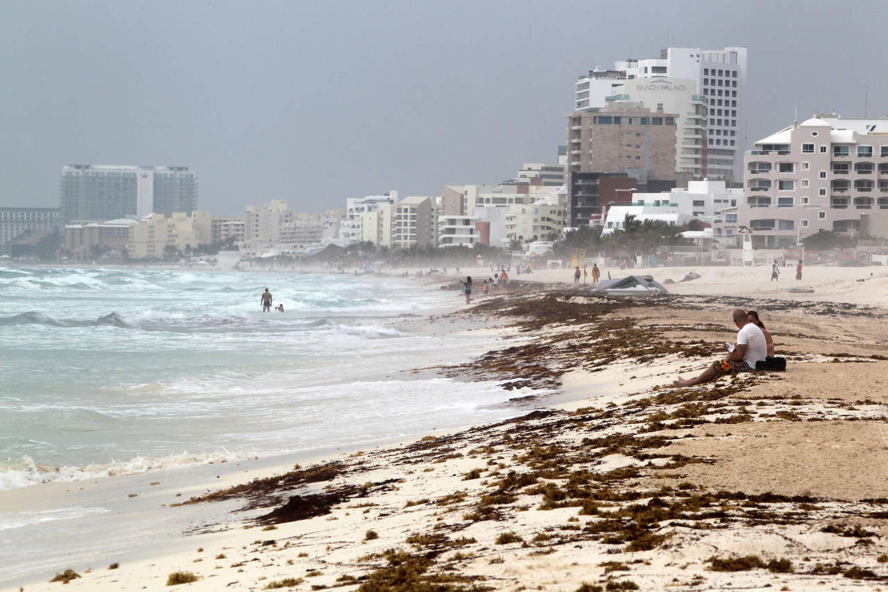 El Gobierno de México acordó implementar cuatro acciones clave para el manejo de la crisis de arribo masivo de sargazo (algas marrón) que se vive actualmente las costas del Caribe mexicano, informó hoy la Secretaría de Turismo (Sectur). (EFE)