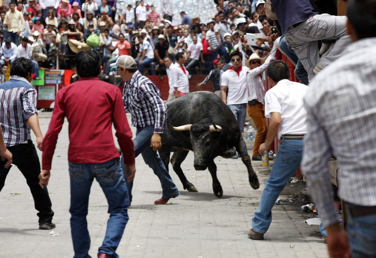 Consiste en un encierro de toros por las principales calles de la ciudad. (ARCHIVO)