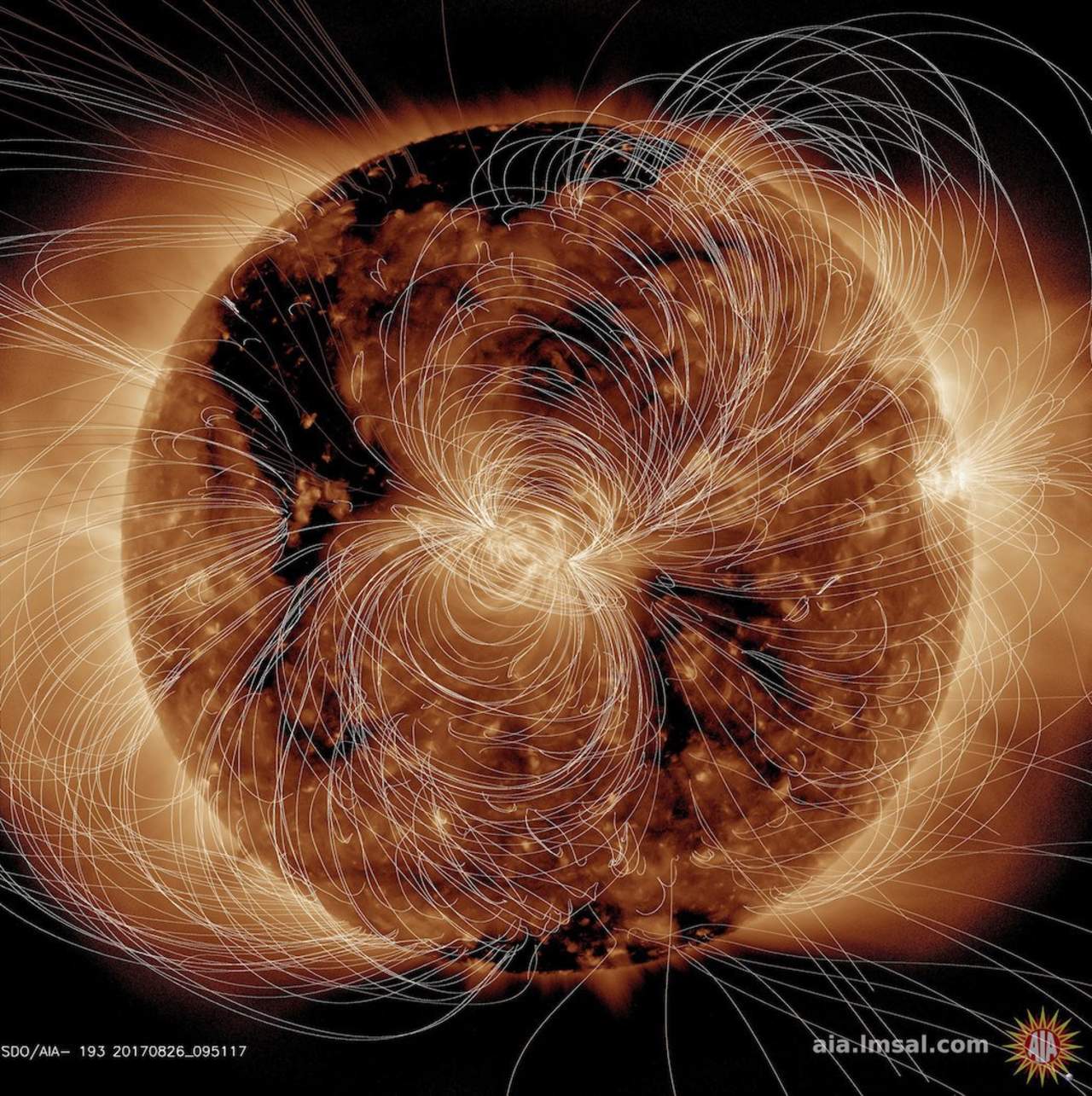 La vista de computadora del campo magnético del Sol, fue hecha con datos del pasado 10 de agosto del presente año, explica la Administración Nacional de la Aeronáutica y del Espacio (NASA, por sus siglas en inglés). (ARCHIVO)