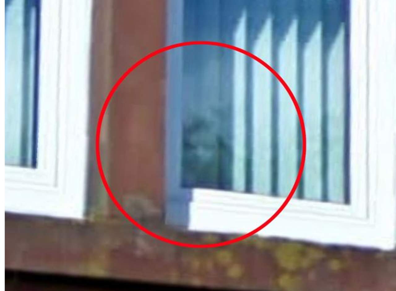 La mujer dice que cuando vivían en esa casa sucedieron extrañas cosas aparentemente paranormales. (INTERNET)