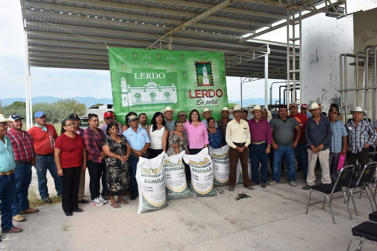 Se implementó el programa de Subsidio a la semilla de Avena con 30 toneladas para 21 comunidades con un costo total de 330 mil pesos, misma que se aprovechó en 260 hectáreas para beneficiar a 83 productores. (EL SIGLO DE TORREÓN) 