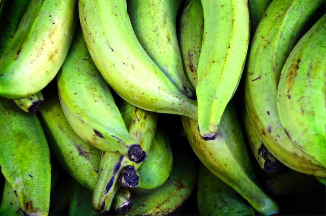 El plátano macho es un fruto versátil que se puede comer crudo o cocinado. (ESPECIAL)