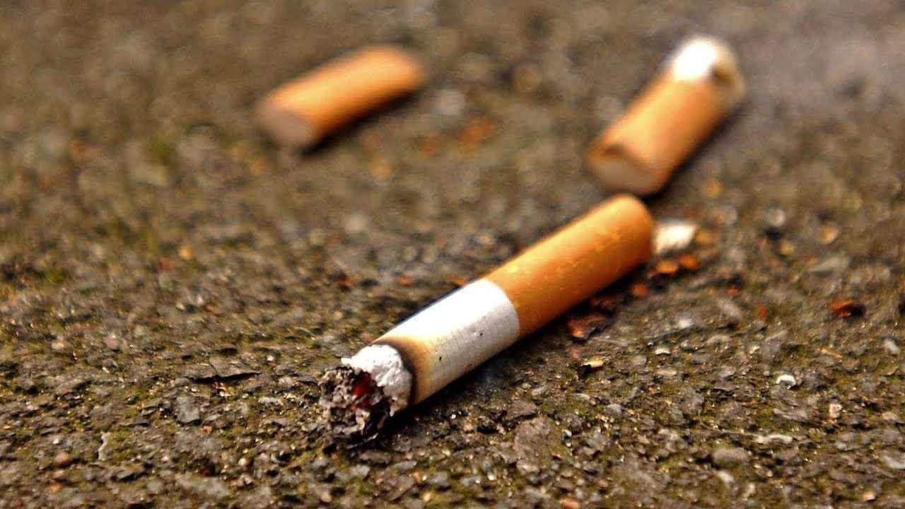 Los filtros de los cigarros pueden ser nocivos para el ambiente y los seres vivos. (INTERNET)