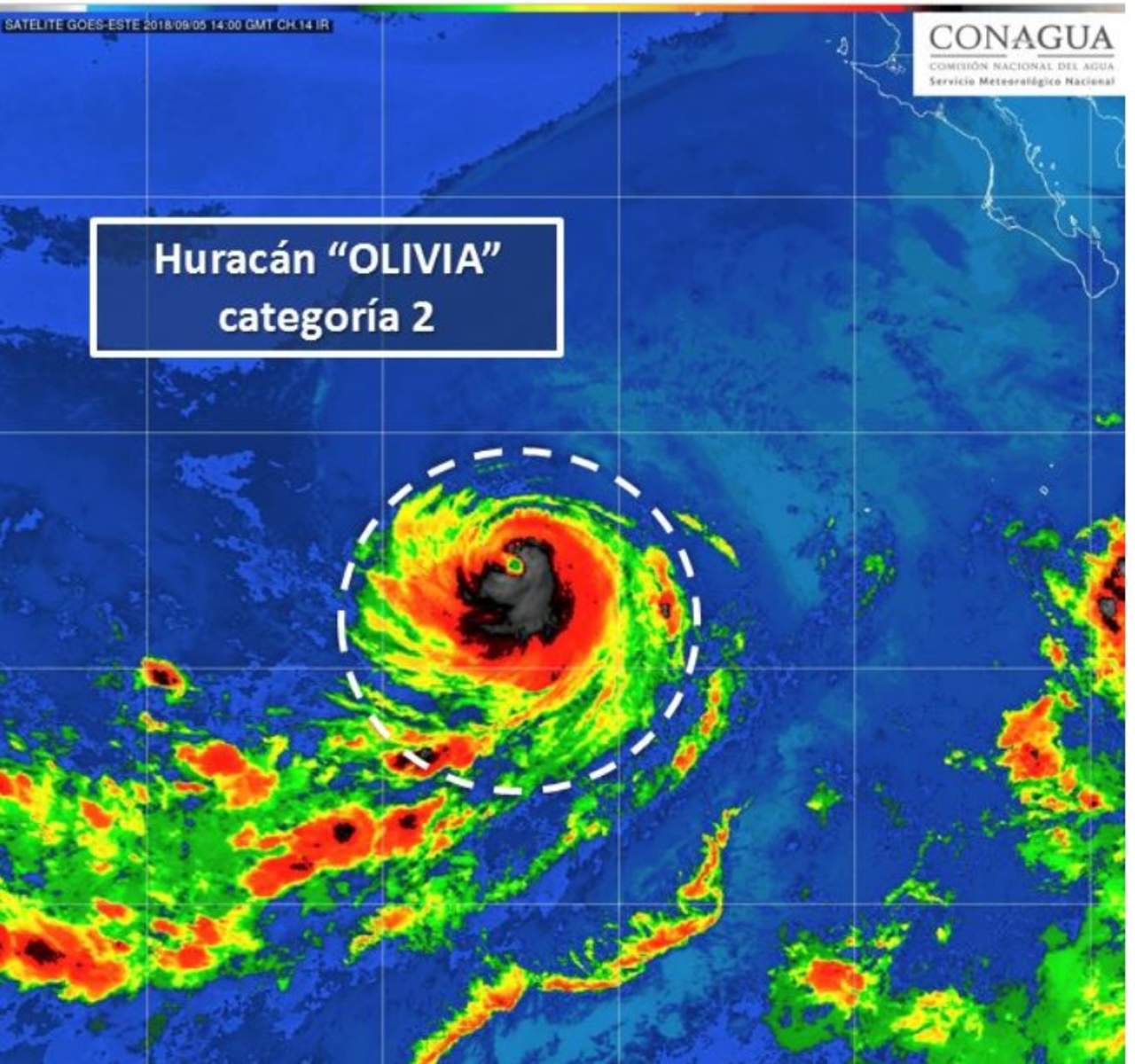 El Servicio Meteorológico Nacional (SMN) informó que el huracán Olivia, de categoría 2 en la escala Saffir-Simpson, mantiene su desplazamiento hacia el oeste, alejándose de costas nacionales. (TWITTER)
