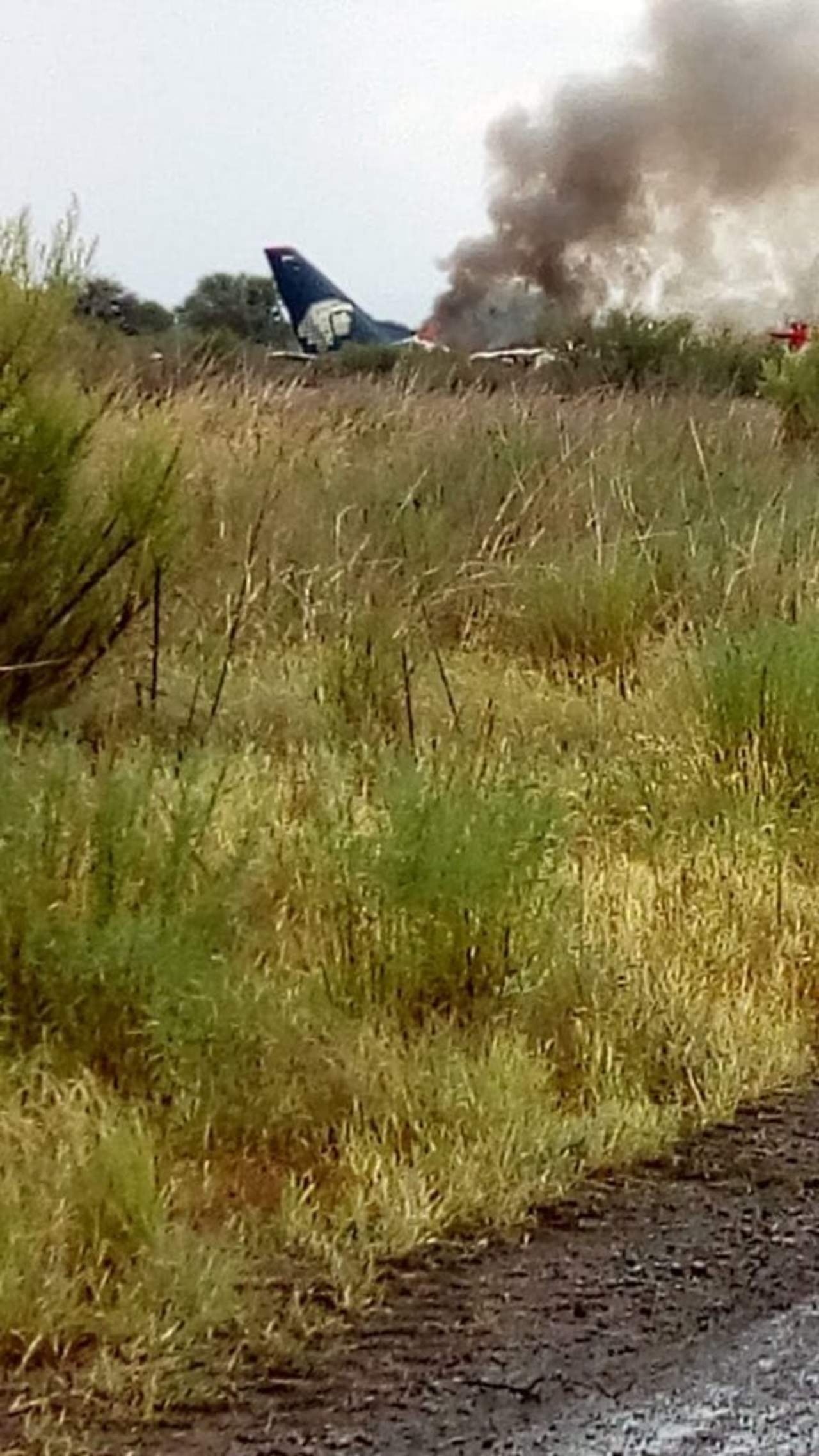 La aerolínea Aeroméxico despidió ayer a los tres pilotos involucrados en un accidente de avión ocurrido en julio en Durango capital, informó la compañía. (EL SIGLO DE TORREÓN)