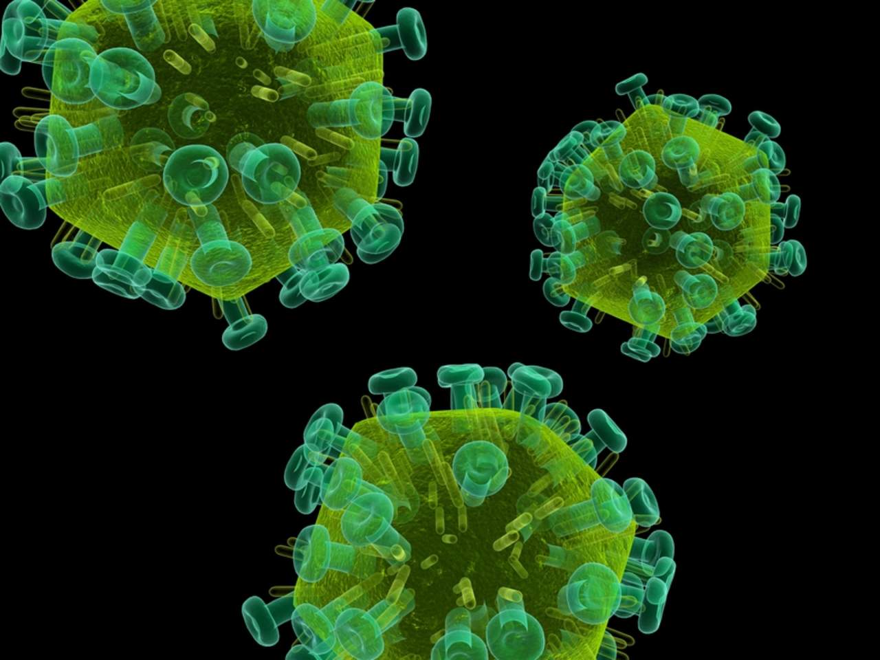 Investigan anticuerpos que neutralizan el virus del sida