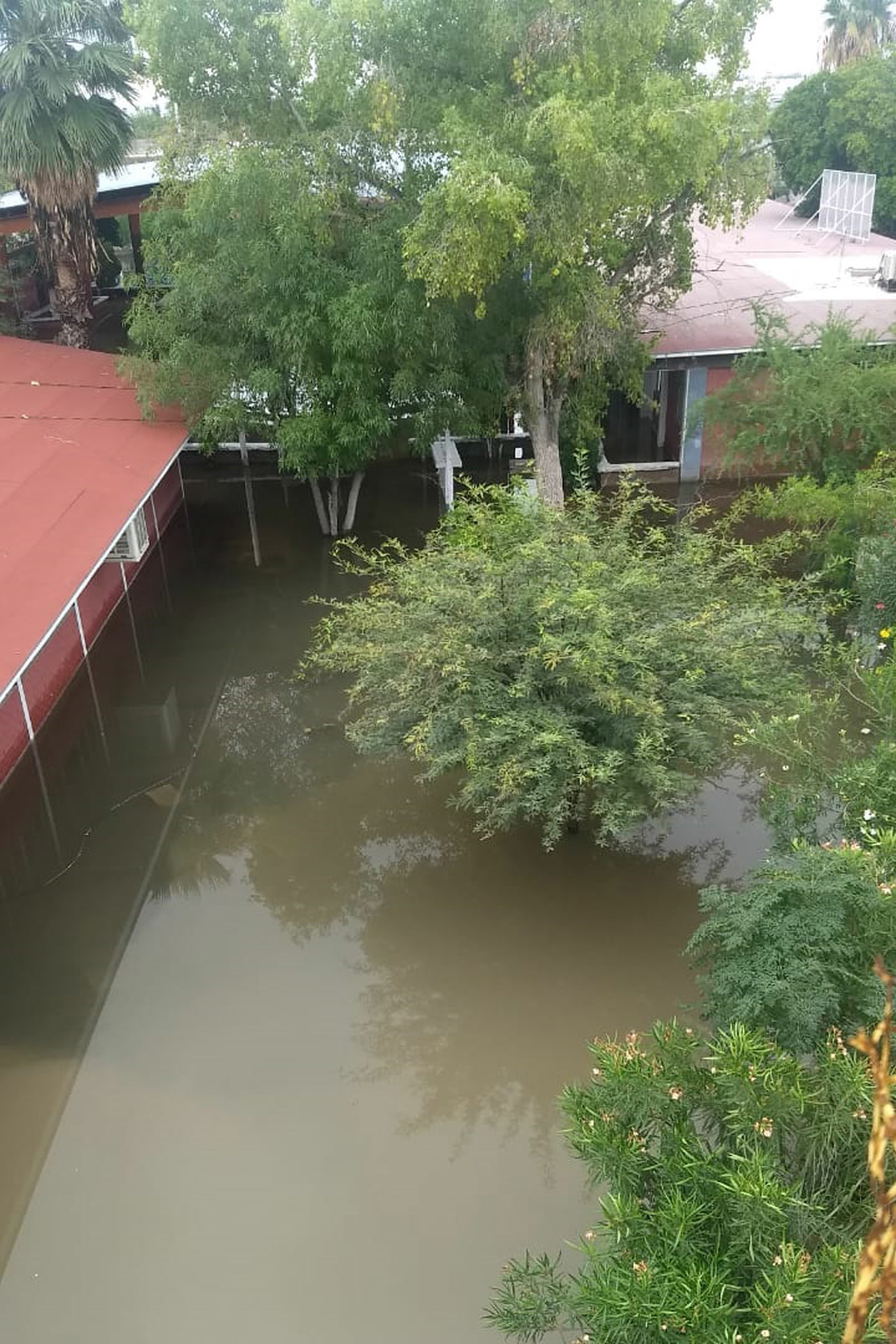 Afectaciones. Así quedaron algunas escuelas de la Comarca Lagunera de Coahuila tras las fuertes lluvias que azotaron en recientes días. Esta es la secundaria Elsa Hernández de De las Fuentes. (EL SIGLO DE TORREÓN)