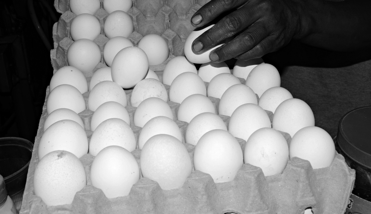 Indicador. A nivel país, la producción acumulada de huevo durante enero-agosto, alcanzó un millón 908 mil 314 toneladas.