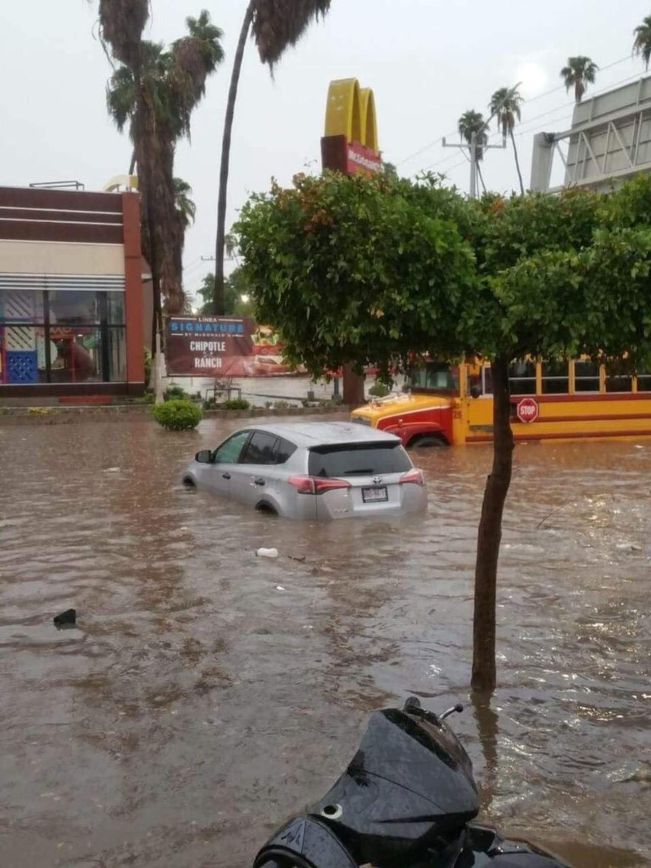 A través de su cuenta de Twitter @SEDENAmx, la dependencia federal indicó que se apoya a personas afectadas por las fuertes precipitaciones en Ahome, El Fuerte, Salvador Alvarado, Mocorito y Culiacán. (ESPECIAL)