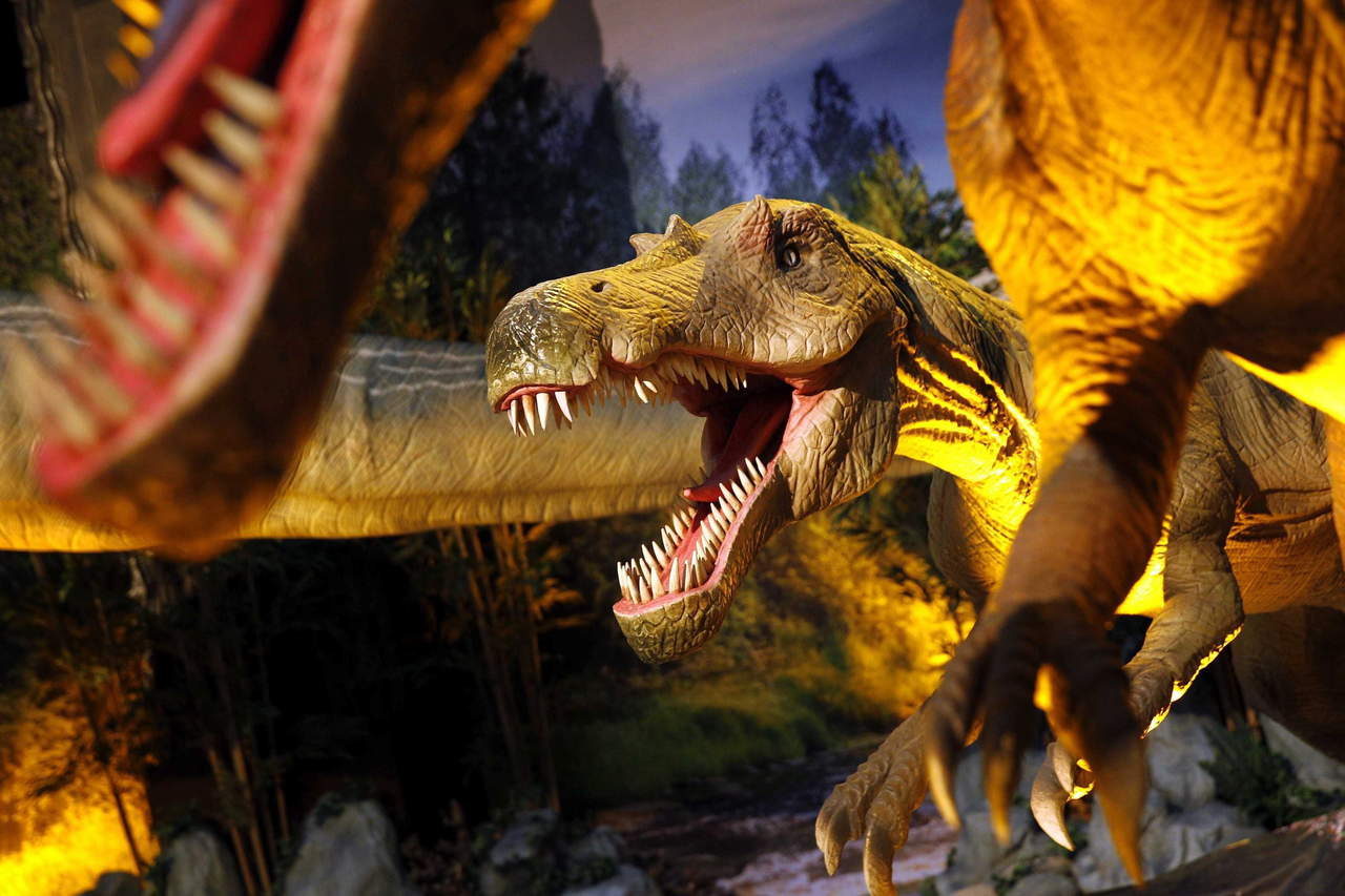 Algunas cosas que rodean a los dinosaurios, pese a los miles de fósiles y rastros que se han estudiado sobre ellos, parecen seguir siendo una incógnita. (ARCHIVO)
