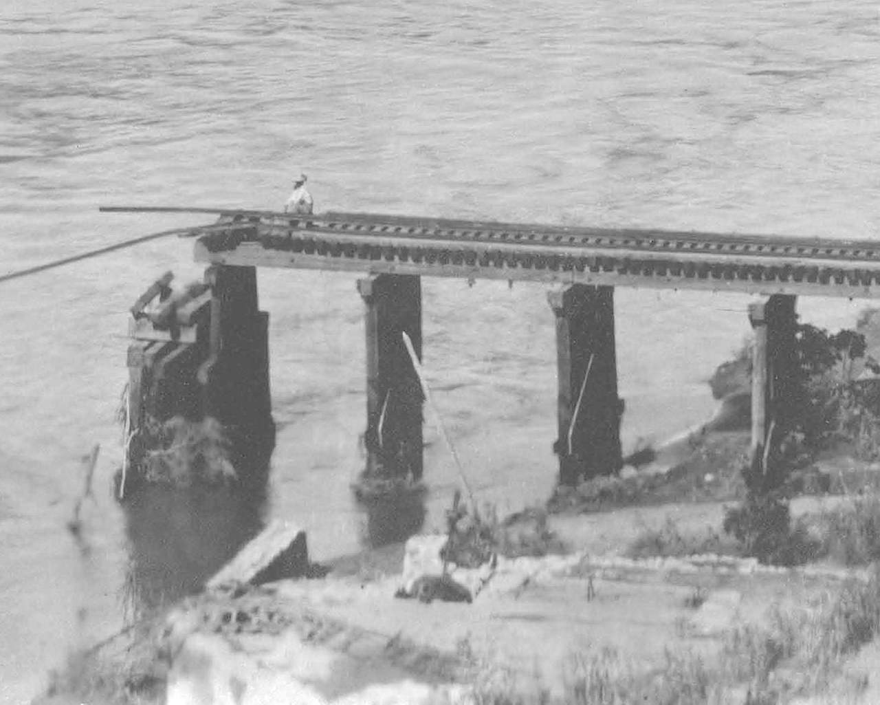Vista al Río Nazas, puente del tranvía, septiembre 20 de 1917. Colección Hartford Miller,Archivo Municipal Eduardo Guerra Torreón.