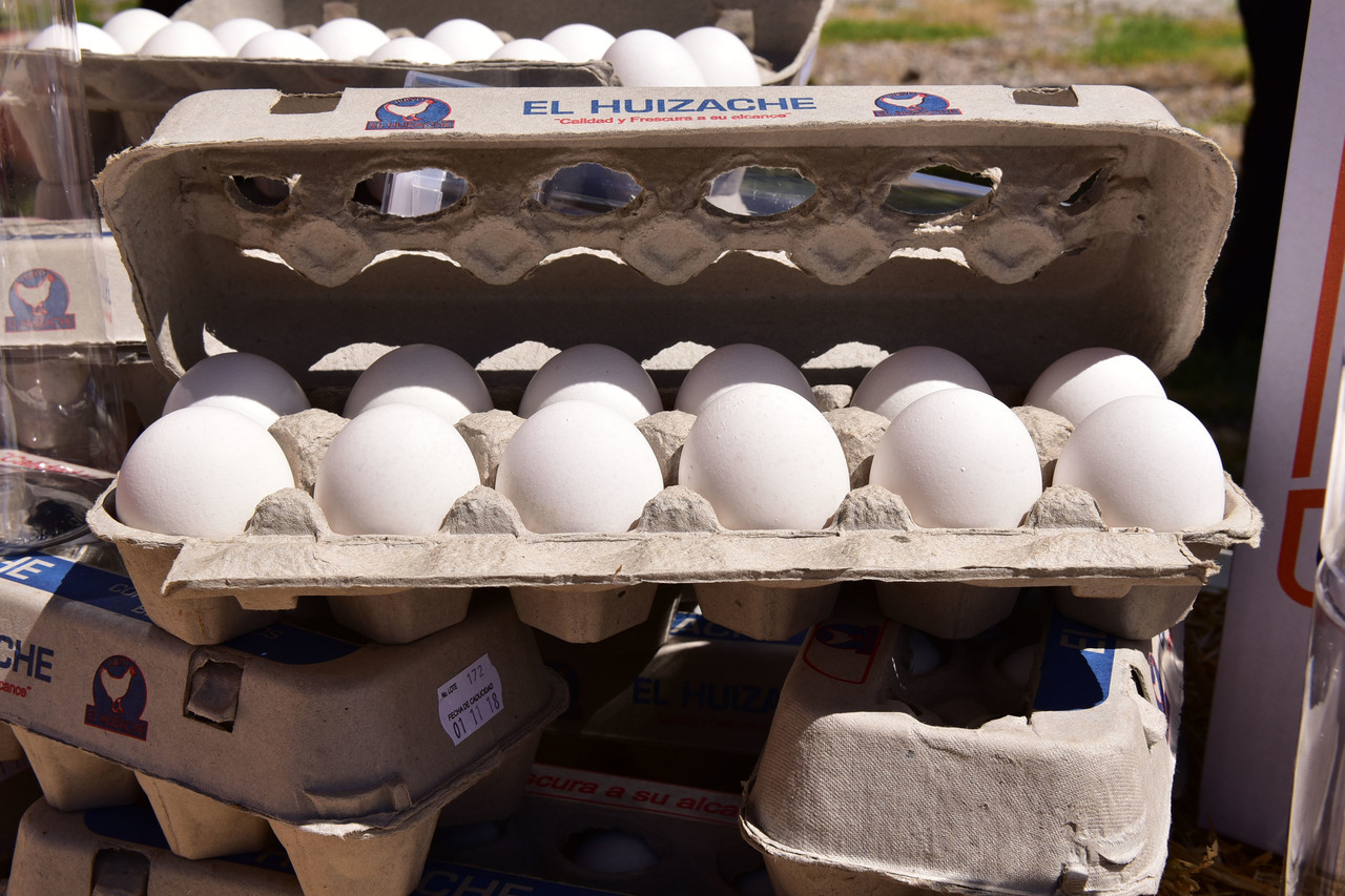 Productores. Destacan los beneficios de alimentarse con huevo todos los días. (ARCHIVO)