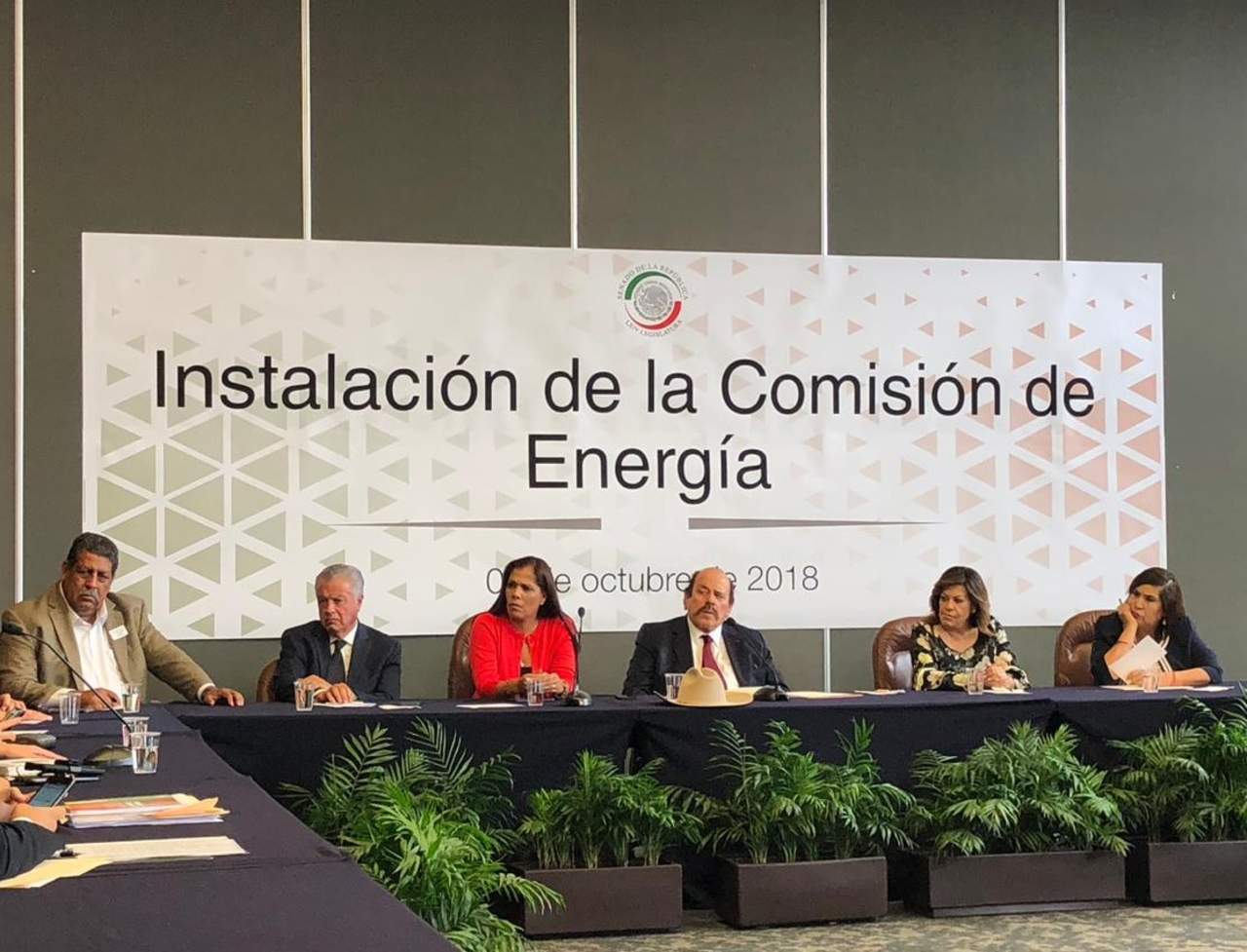 Presentarán punto de acuerdo para aplicar tarifa eléctrica 09 en La Laguna