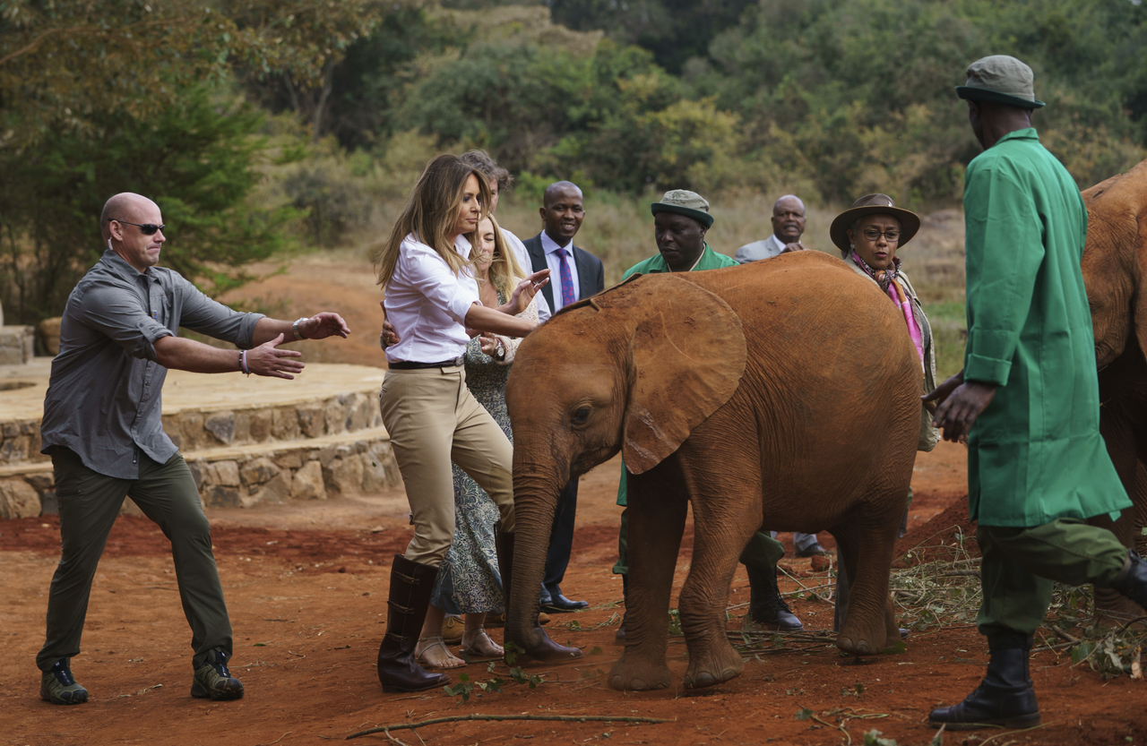 Visita. Vestida con una camisa blanca, pantalones y botas marrones de caña alta, Melania alimentó a varias crías de elefante.