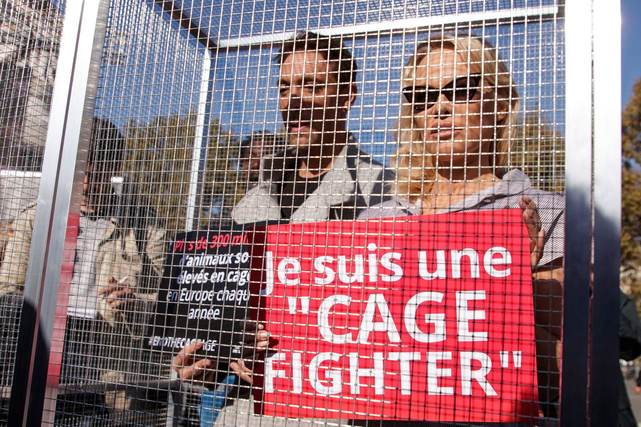 La campaña 'Por una nueva era sin jaulas' denuncia que 370 millones de animales en Europa, 90 millones de ellos en Francia, son criados en jaulas, según cifras de la organización animalista CIWF. (EFE)
