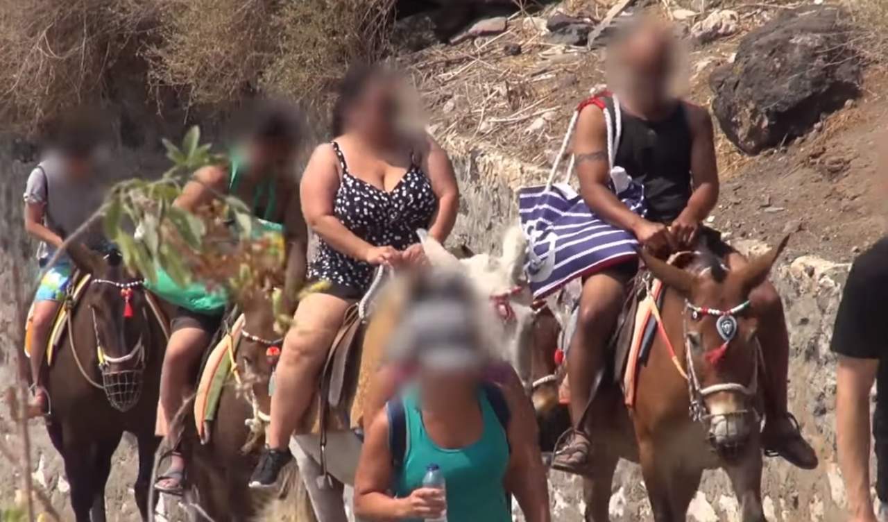 Grecia prohibirá viajar en burro a turistas con sobrepeso