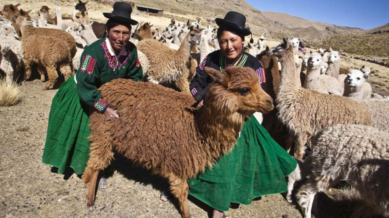 Cada año, la celebración de este día se centra en un tema en específico, el de este 2018 es 'Infraestructura, servicios y protección social sostenibles para la igualdad de género y el empoderamiento de las mujeres y niñas rurales'. (ONU)