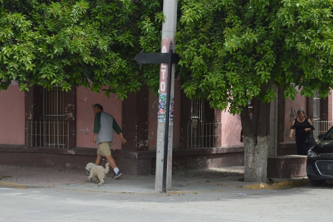 Vías. La nomenclatura de la calle Allende y avenida Coronado no tiene el nombre por ninguna de las dos caras. De esta misma forma hay otras en la ciudad. (EL SIGLO DE TORREÓN)