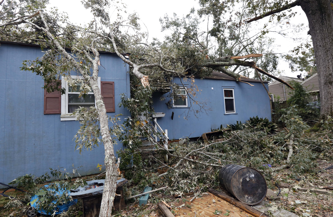 En riesgo. Ramas de un árbol sobre los restos de la casa de Max Hearn, que sufrió por el clima extremo de los últimos días. (AP)