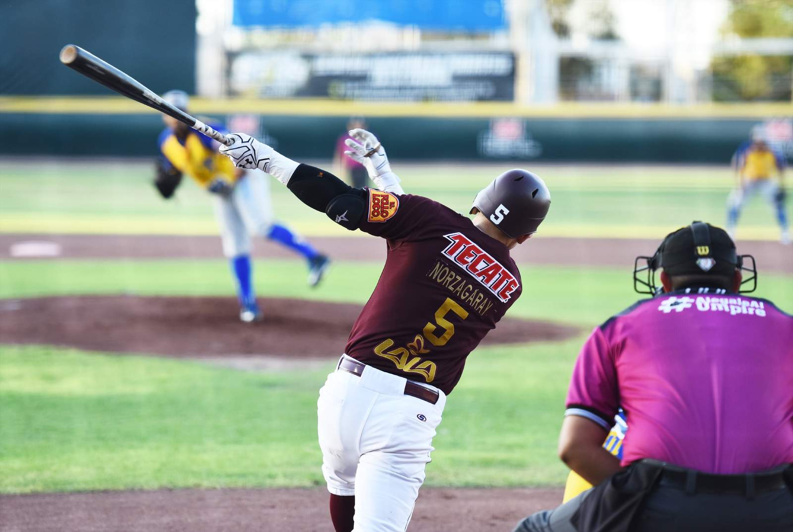 La temporada 2019 de la Liga Mexicana de Beisbol no contará con la participación de los Algodoneros.