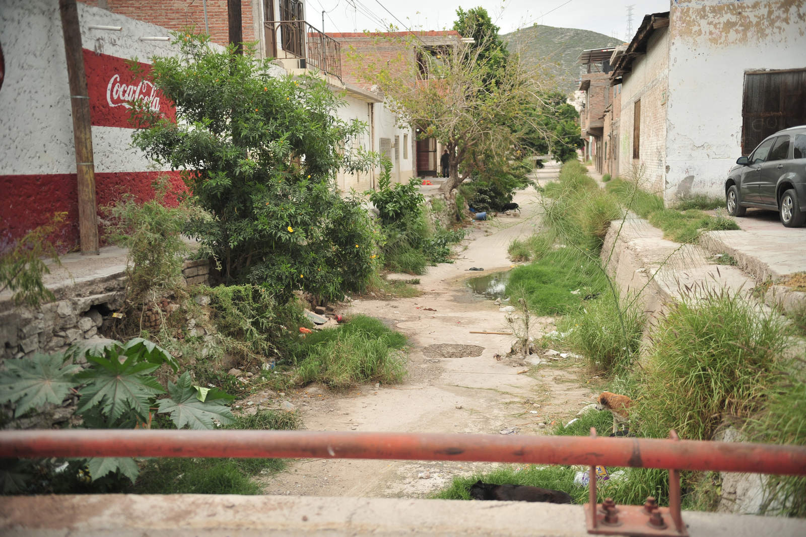 Muestra, son los desagües de la colonia Compresora, Morelos y la Fe, que se encuentran repletos de basura, ramas, hierba. (EL SIGLO DE TORREÓN)