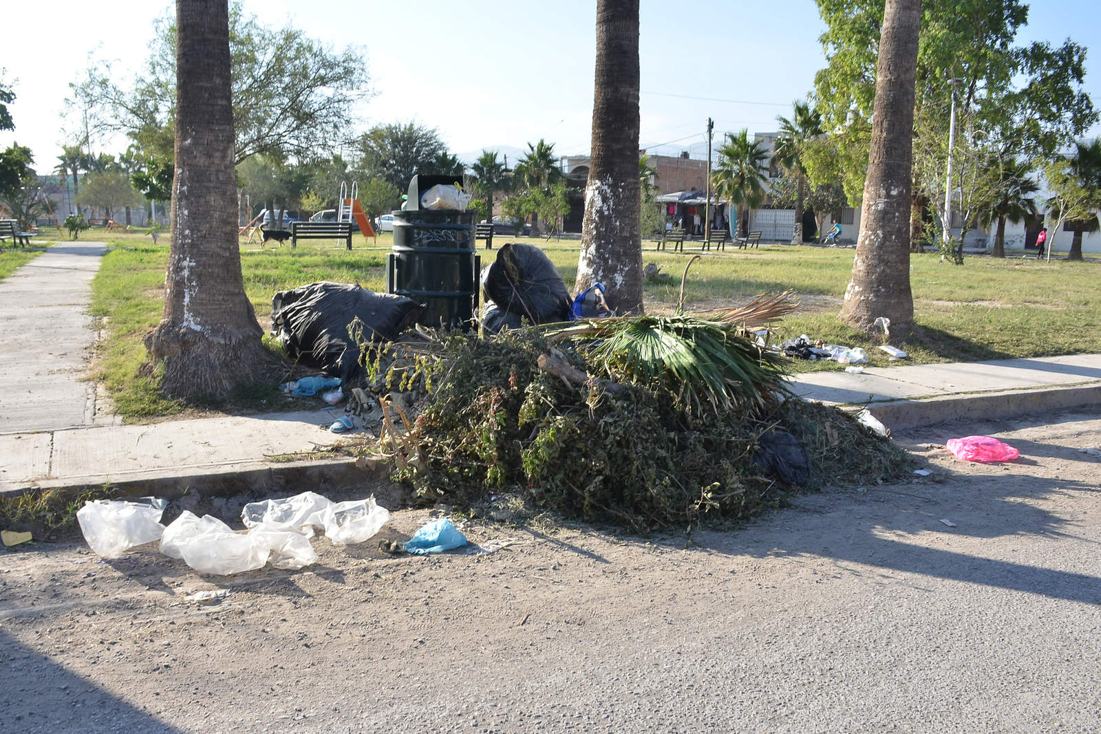 En la plaza se colocaron botes de basura nuevos, pero nadie va a limpiarlos, al contrario, echan más basura. (EL SIGLO DE TORREÓN)