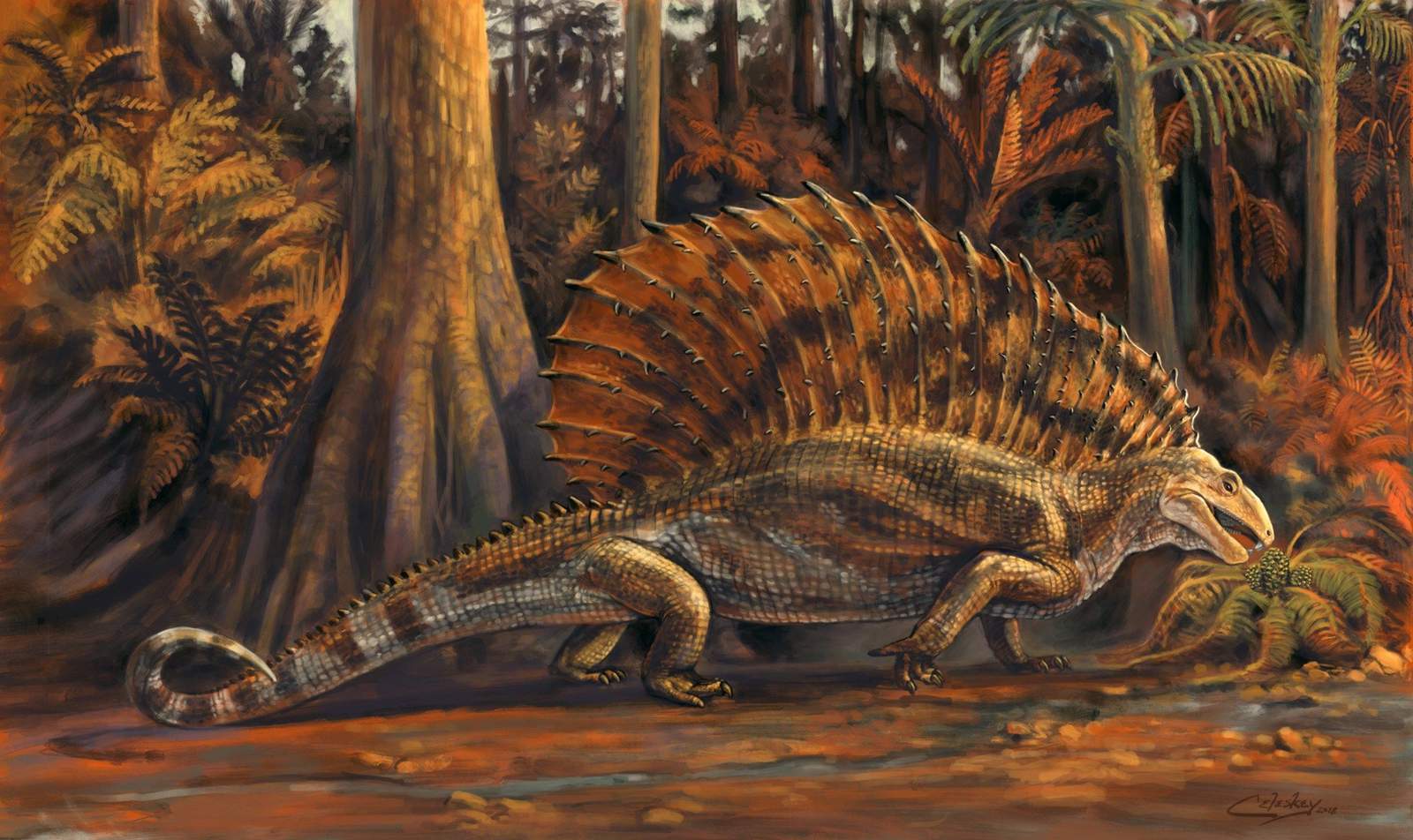 Gordodon vivió en el Periodo Pérmico, unos 50 millones de años antes de que sugieran los dinosaurios. (EFE)