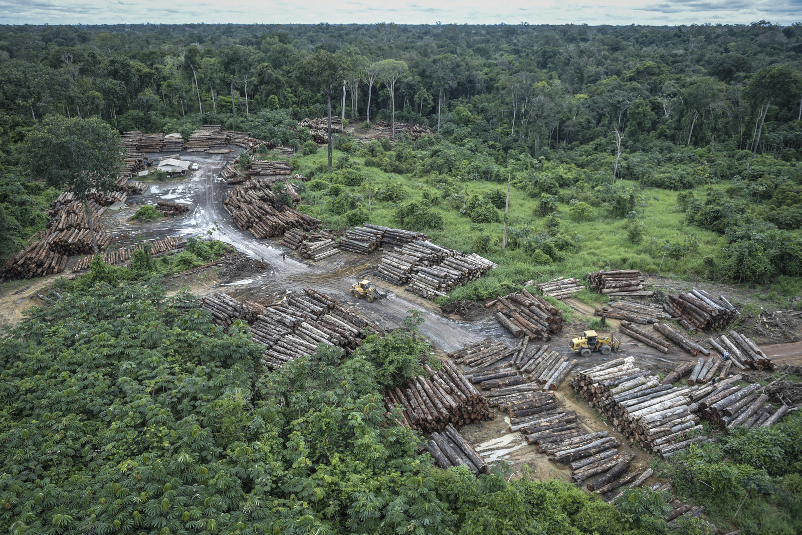 Riesgo. Bolsonaro prometió suavizar las protecciones a zonas del Amazonas brasileño resguardadas como tierras indígenas. (AP)