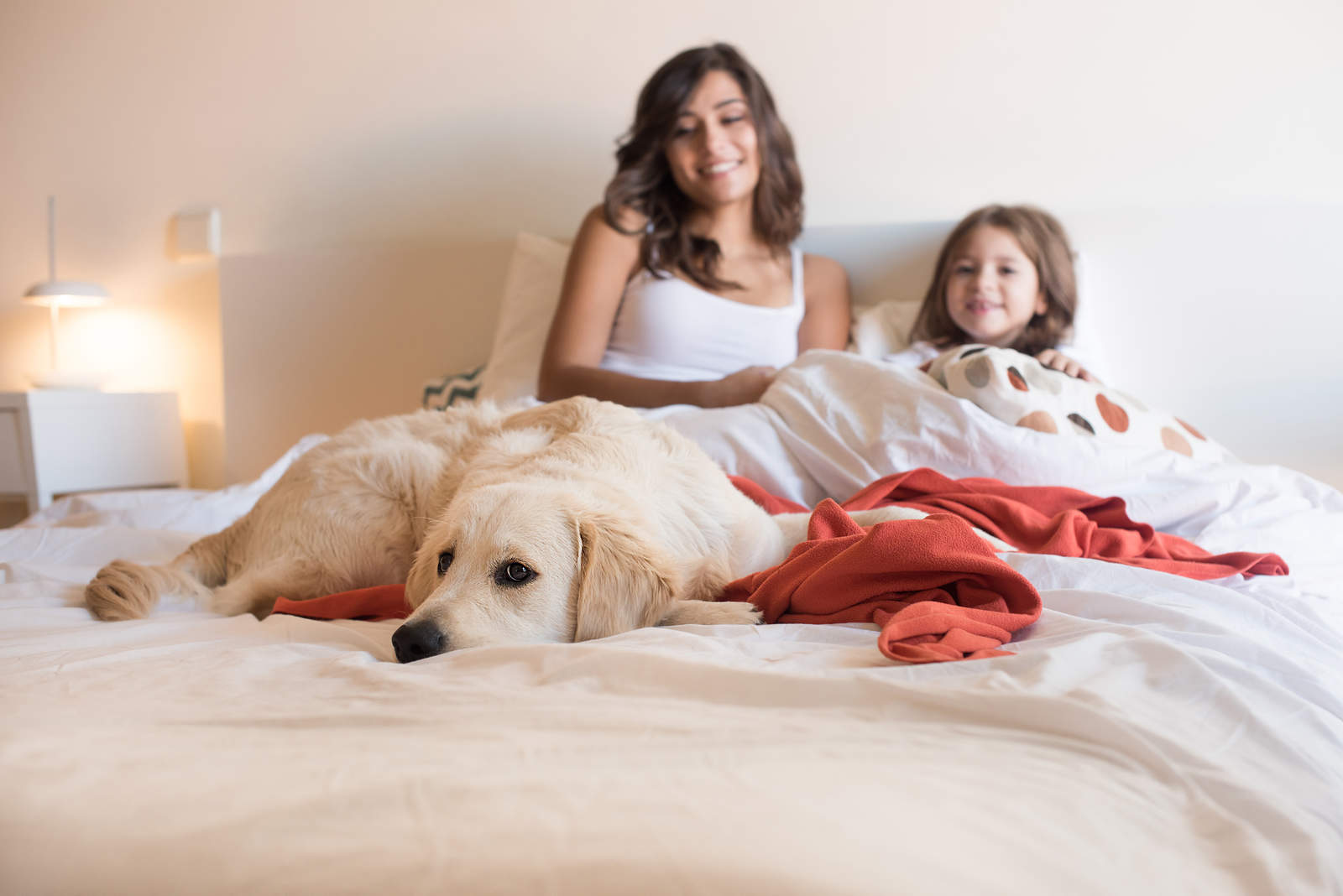 Un estudio de calidad de sueño reveló que dormir con los perros es más placentero que dormir con la pareja o un gato. (ARCHIVO)

