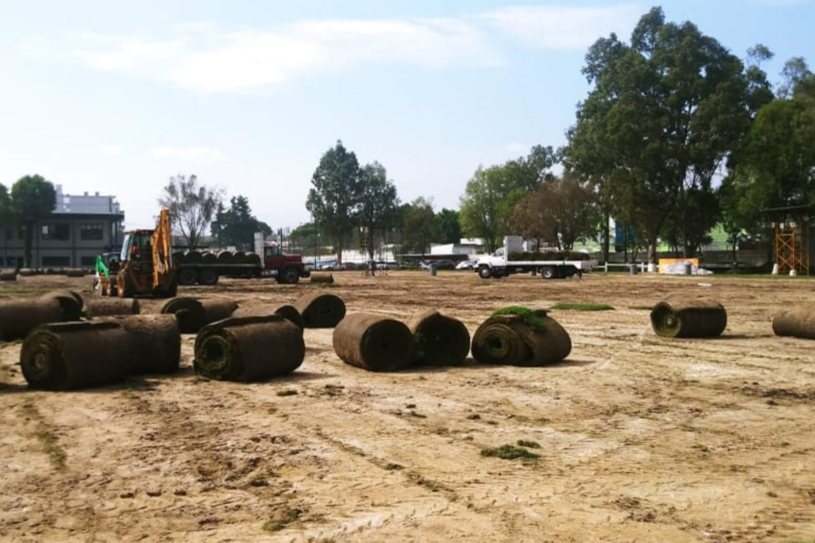 El césped se corta de la cancha de las instalaciones de Coapa y se traslada en camiones al Azteca para plantarlo.