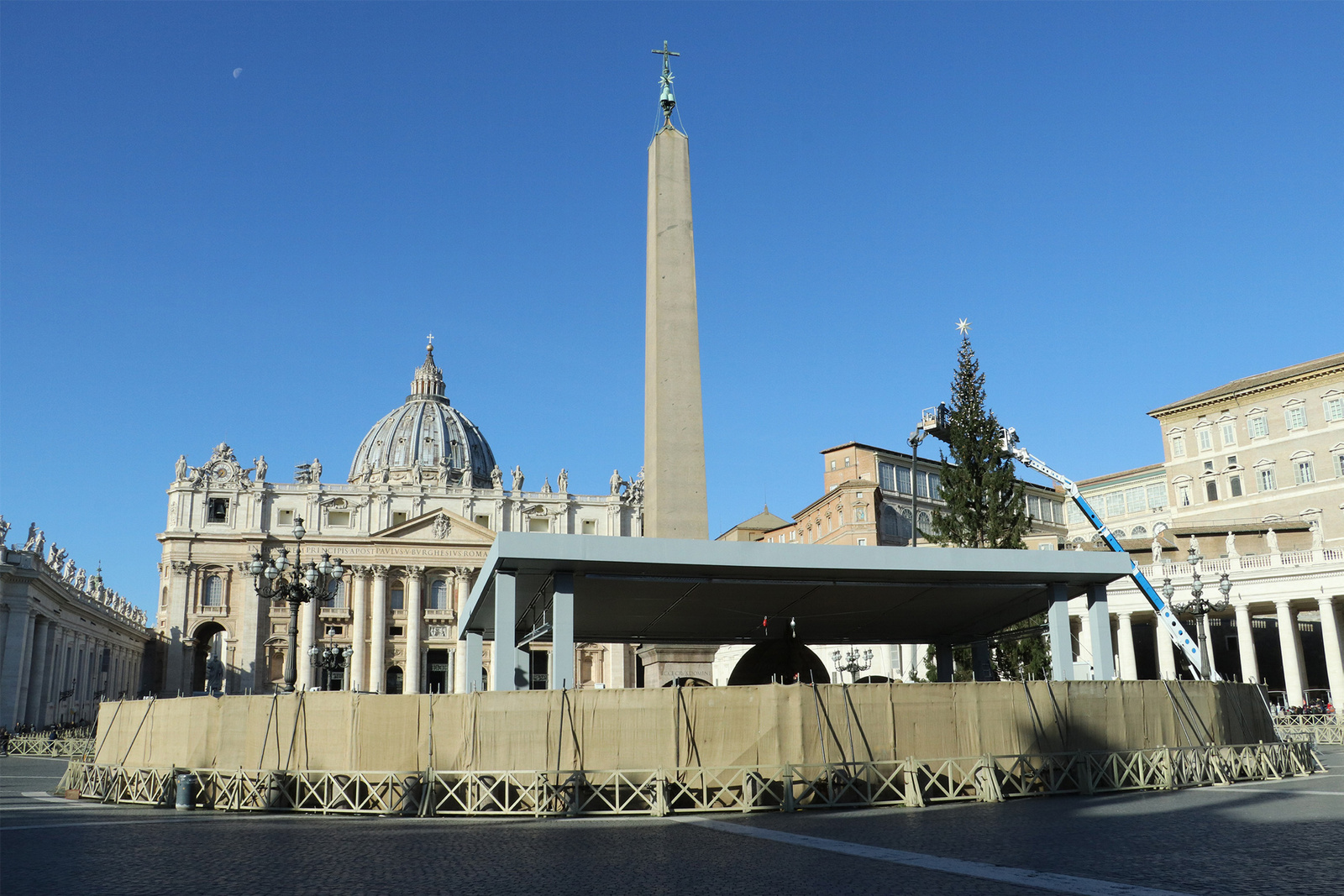 Adornan. Se instaló en el Vaticano un árbol de Navidad de unos 21 metros de altura.