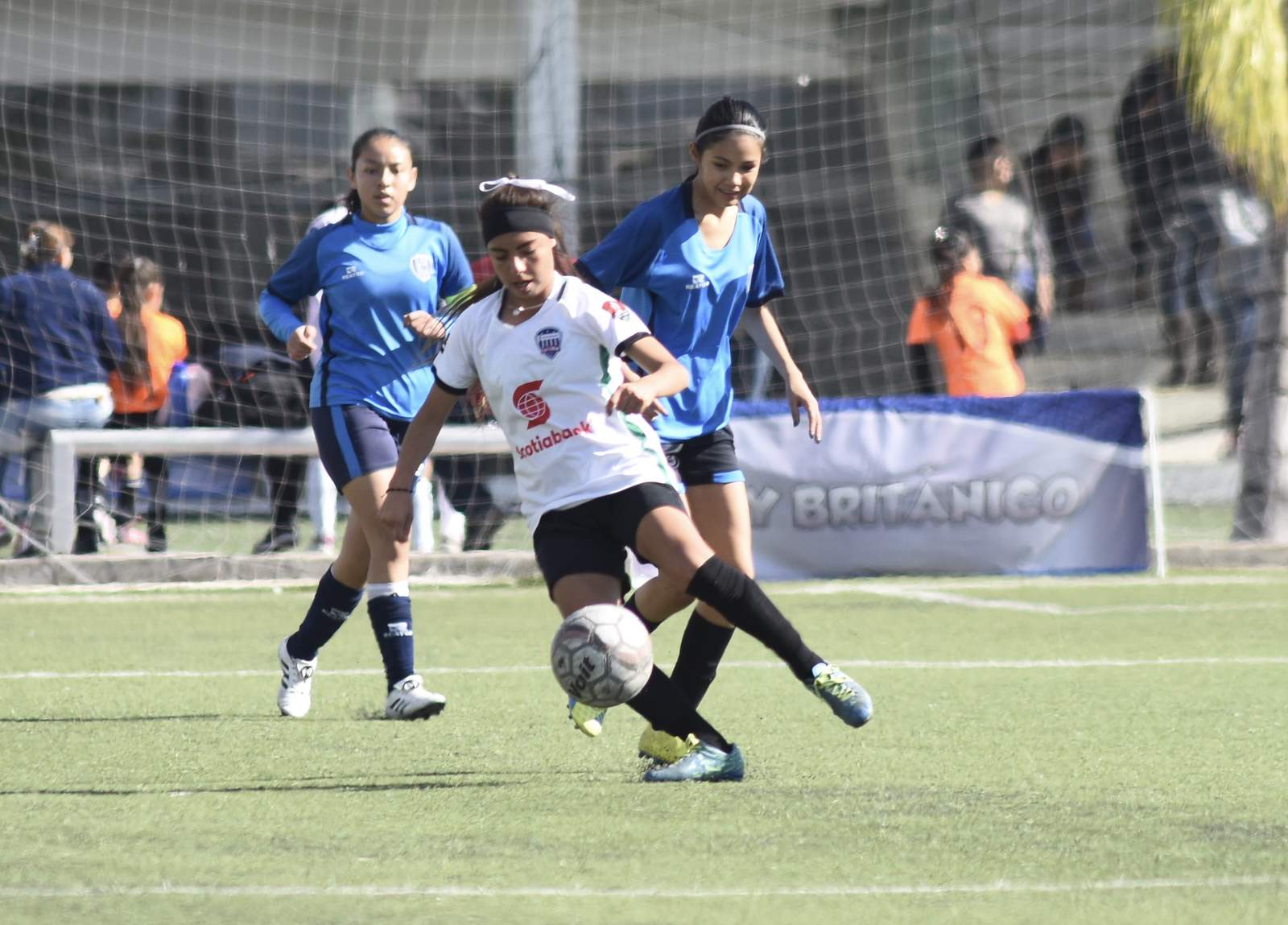 Respecto a la categoría Preparatoria, la Preparatoria de la UJED, goleó 5-0 a las Rayadas Soccer Club Valle de Nuevo León, para obtener el título. (EL SIGLO DE TORREÓN)