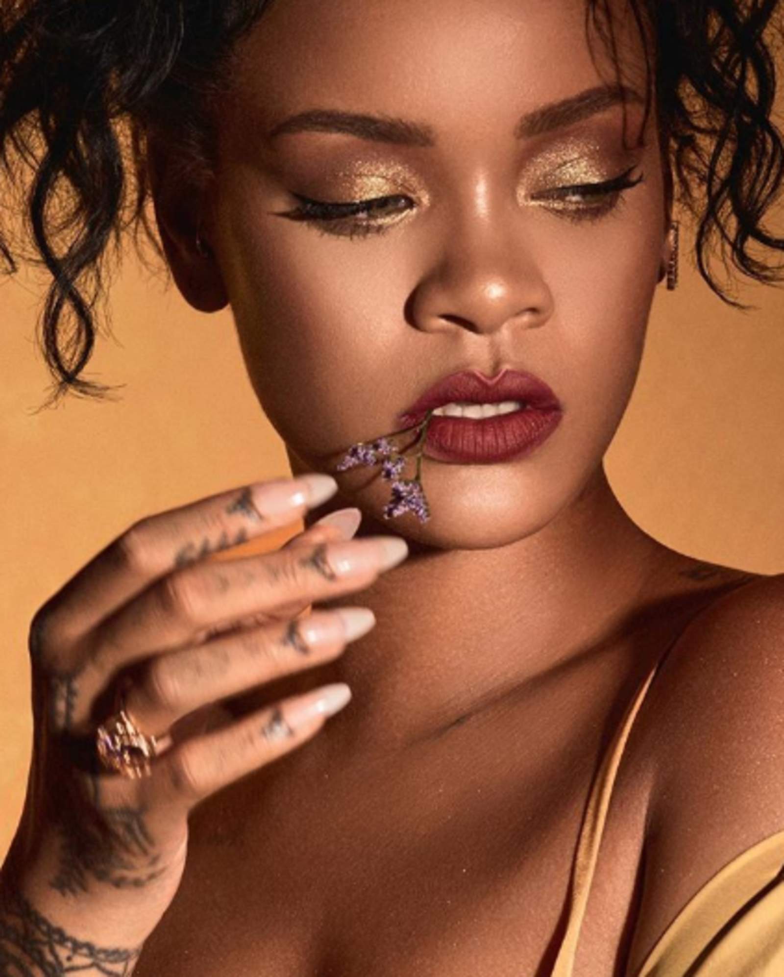 Rihanna deleita en lencería en Instagram