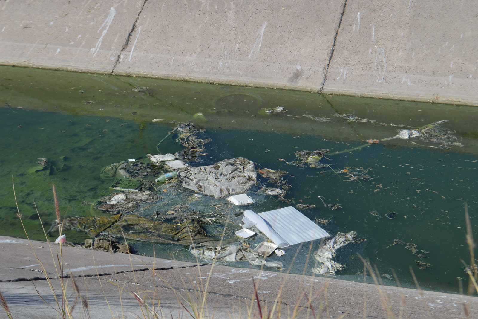 Piden aseo. Se quejan de suciedad en el canal de riego que pasa por la colonia Prolongación Los Nogales en Torreón.