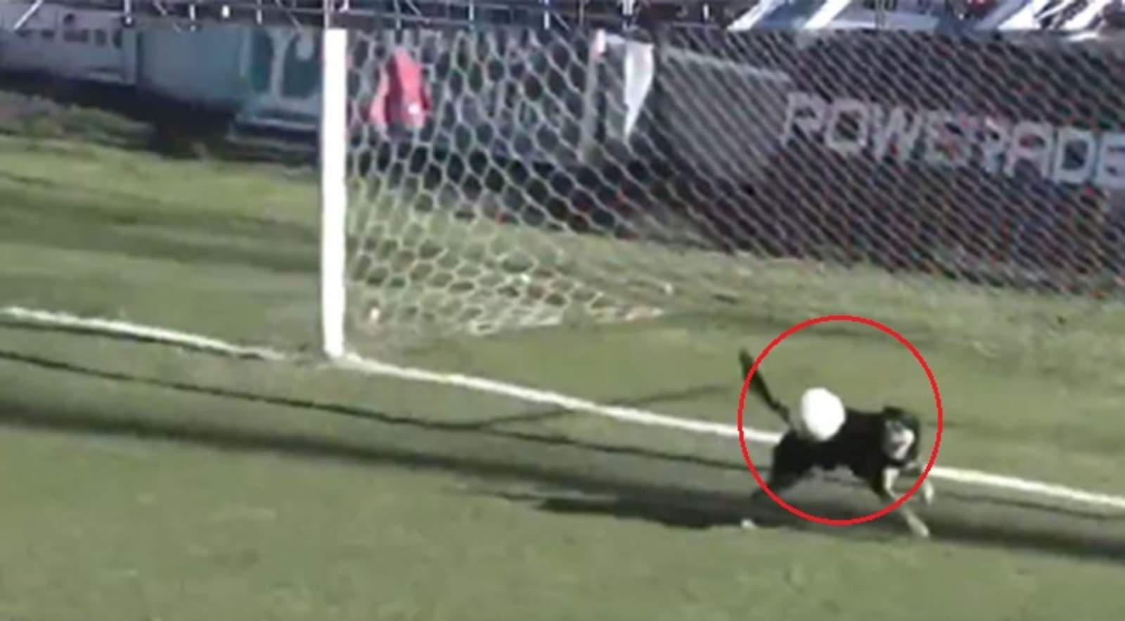El can bloqueó con su cuerpo el balón evitando que entrara a la portería (INTERNET)  