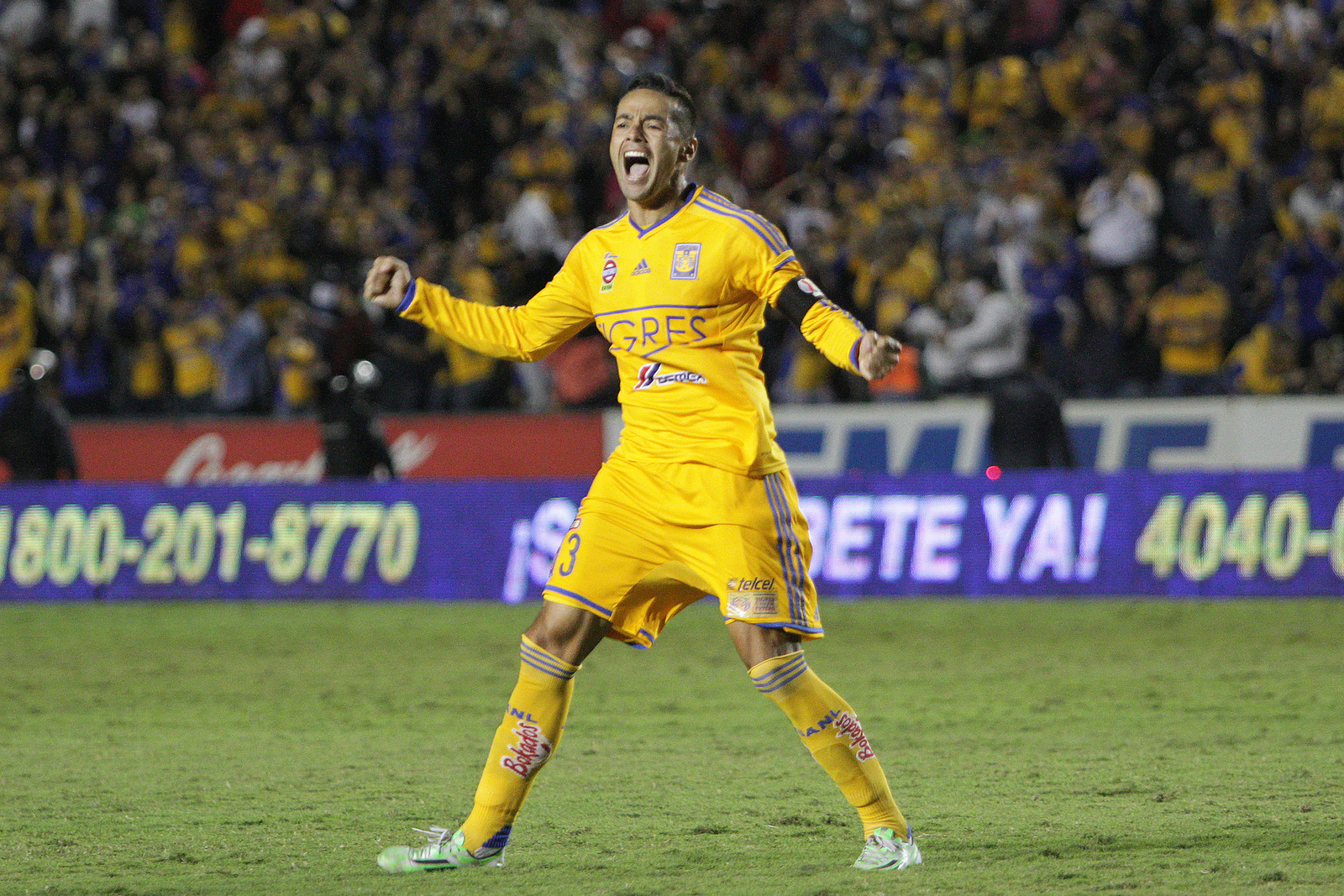 Juninho llegó a los Tigres para el torneo Apertura 2010, y salió cuatro veces campeón con los felinos. (ESPECIAL)