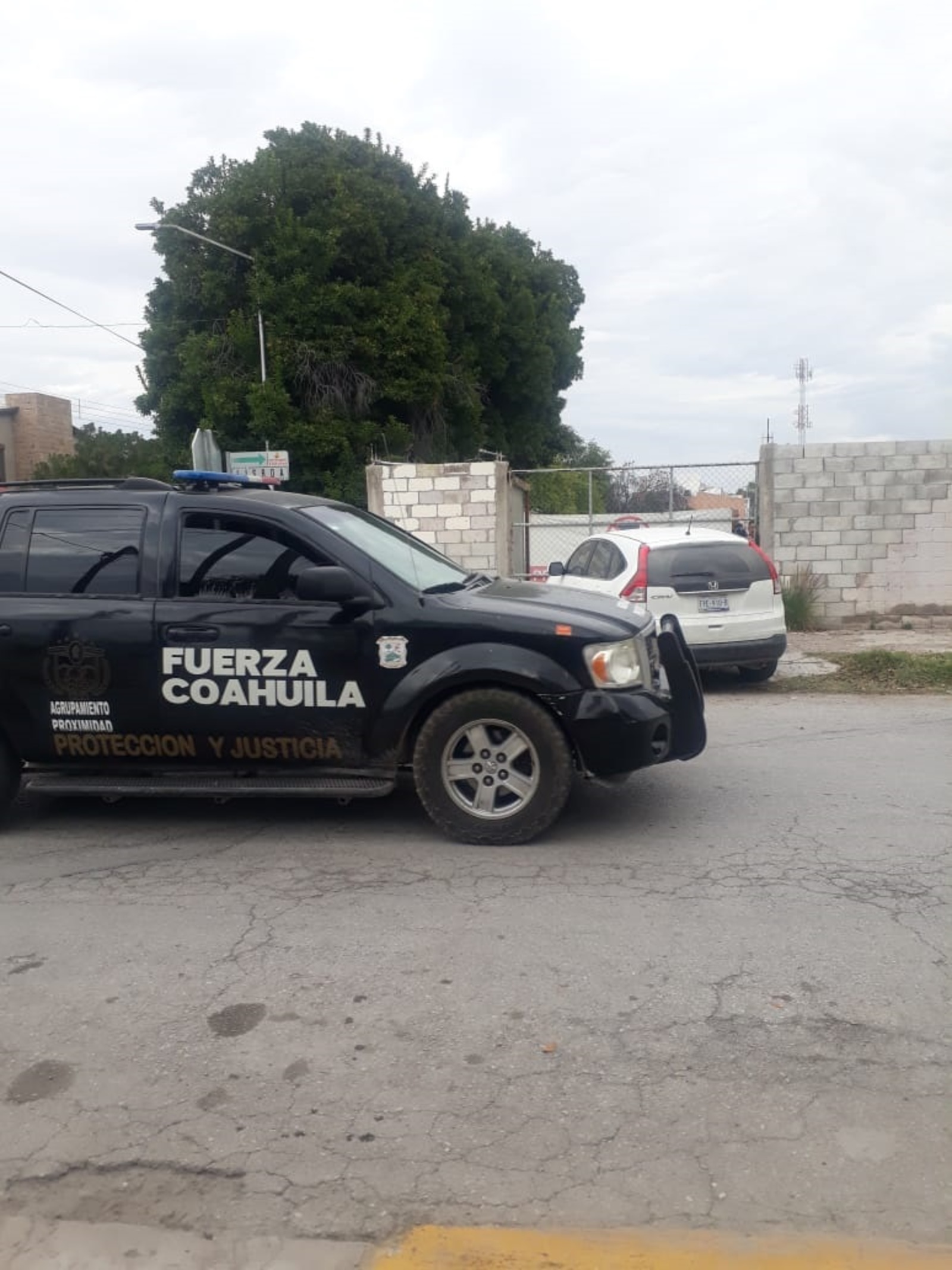 Se llevan tráiler 'madrina' con vehículos de agencia en Torreón