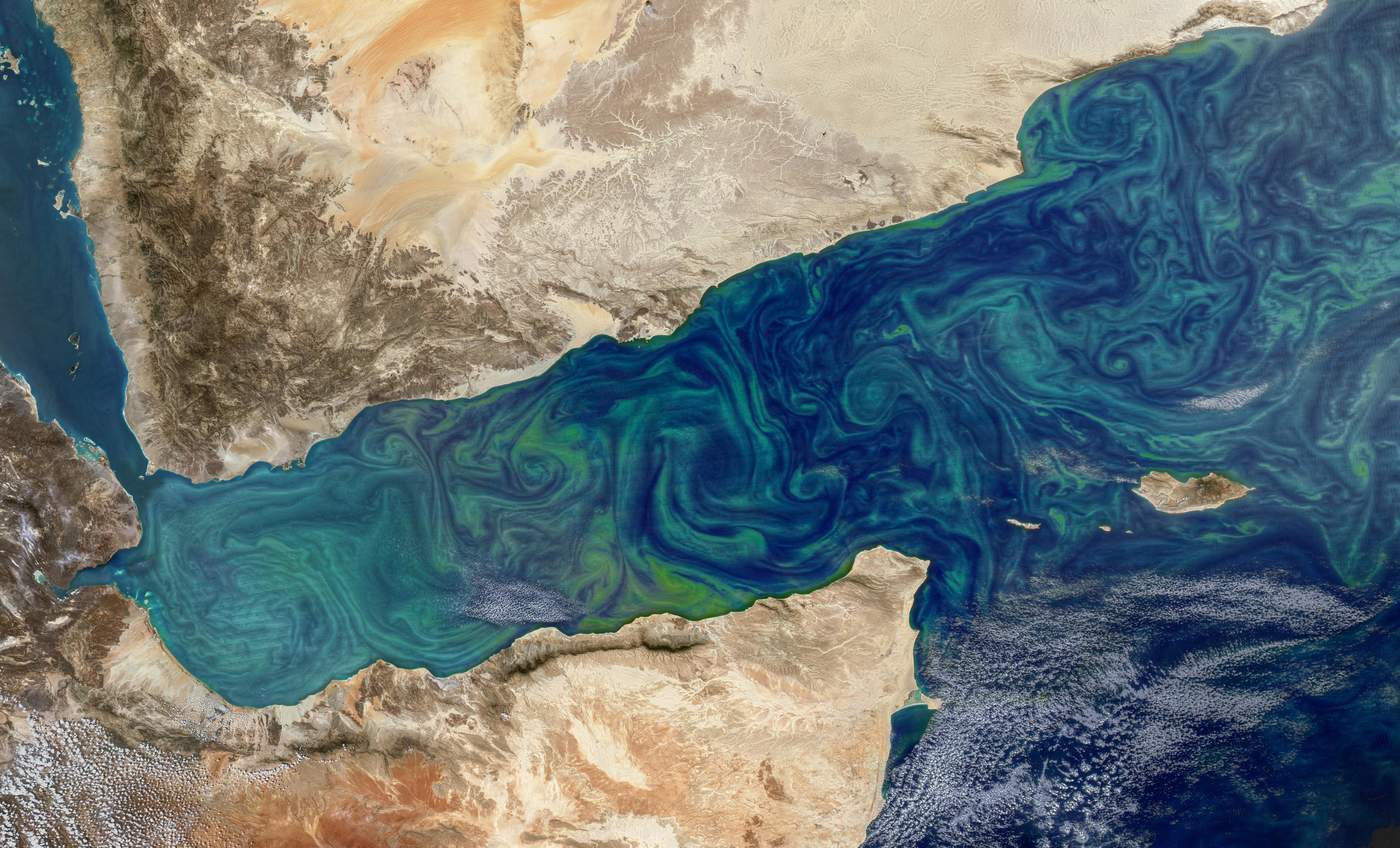 Más de 50 por ciento del oxígeno se produce en el mar mediante la fotosíntesis desencadenada por el fitoplancton. (ARCHIVO)